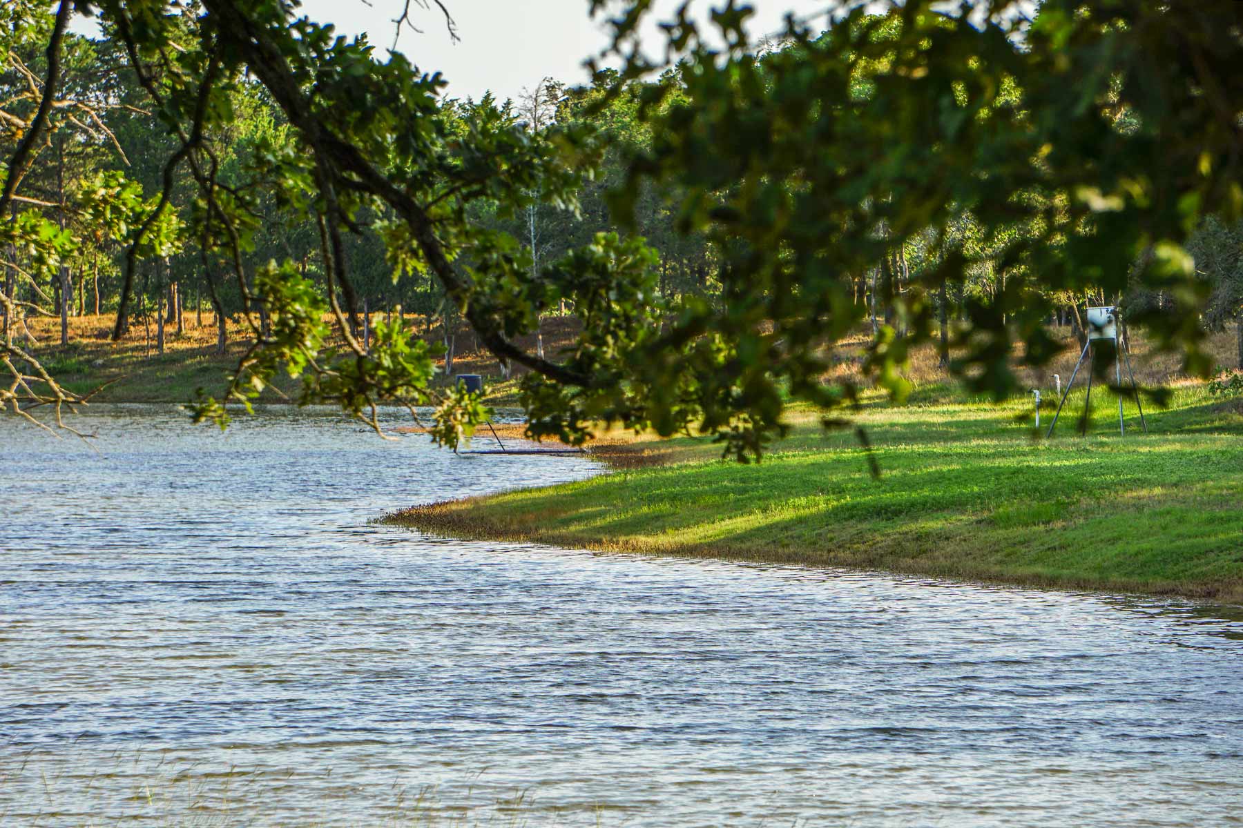 Yiotta Ranch property picture 28 of 50