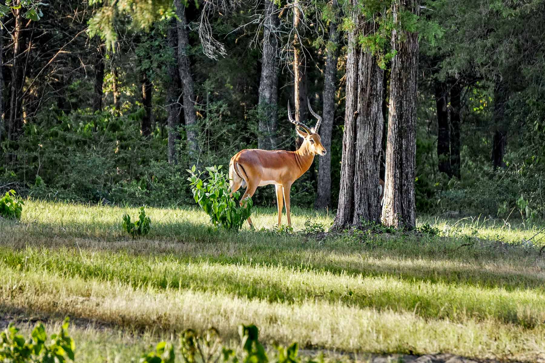 Yiotta Ranch property picture 30 of 50