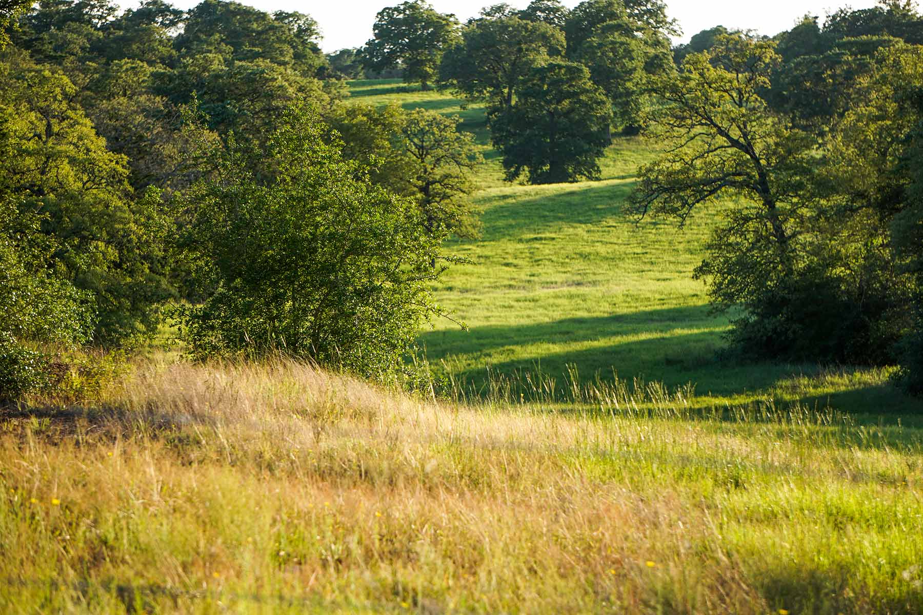 Yiotta Ranch property picture 8 of 50