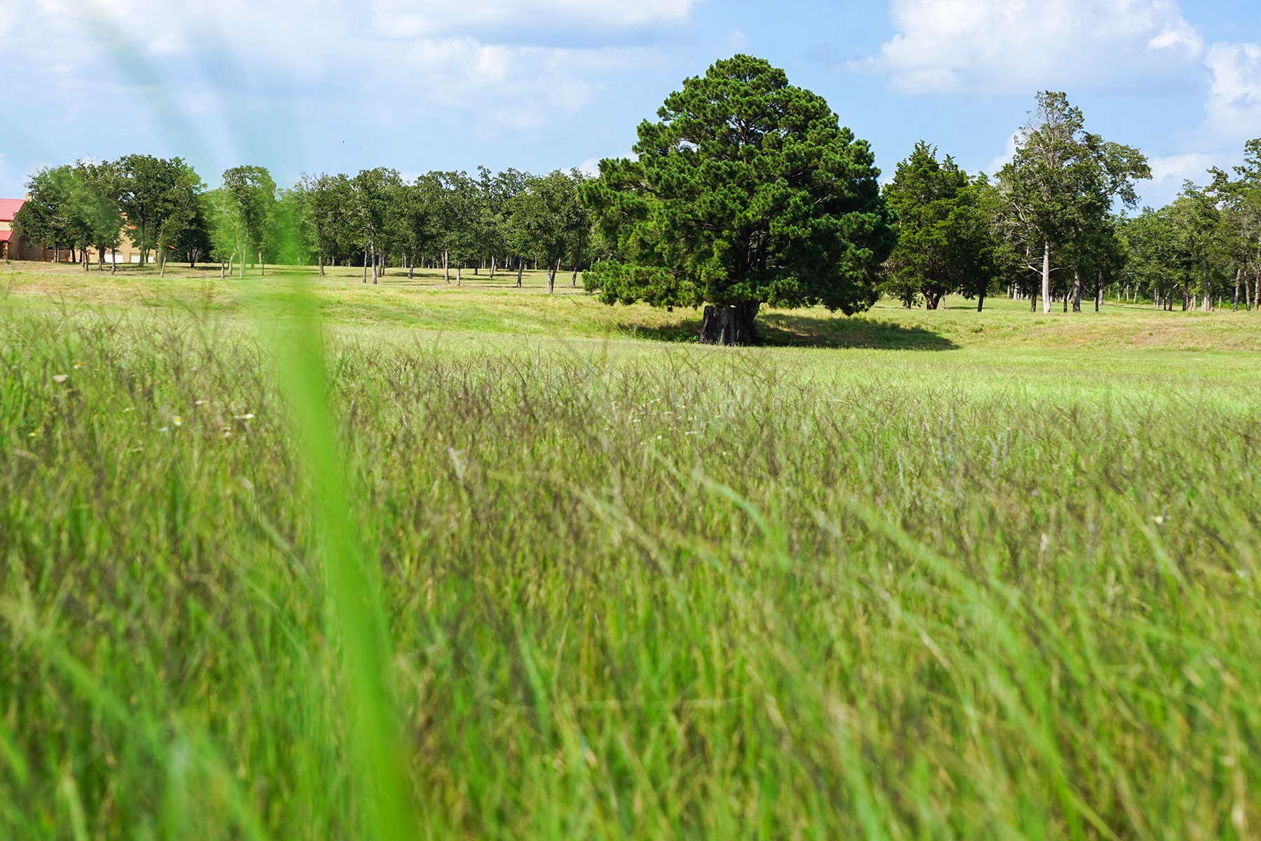 Yiotta Ranch property picture 9 of 50