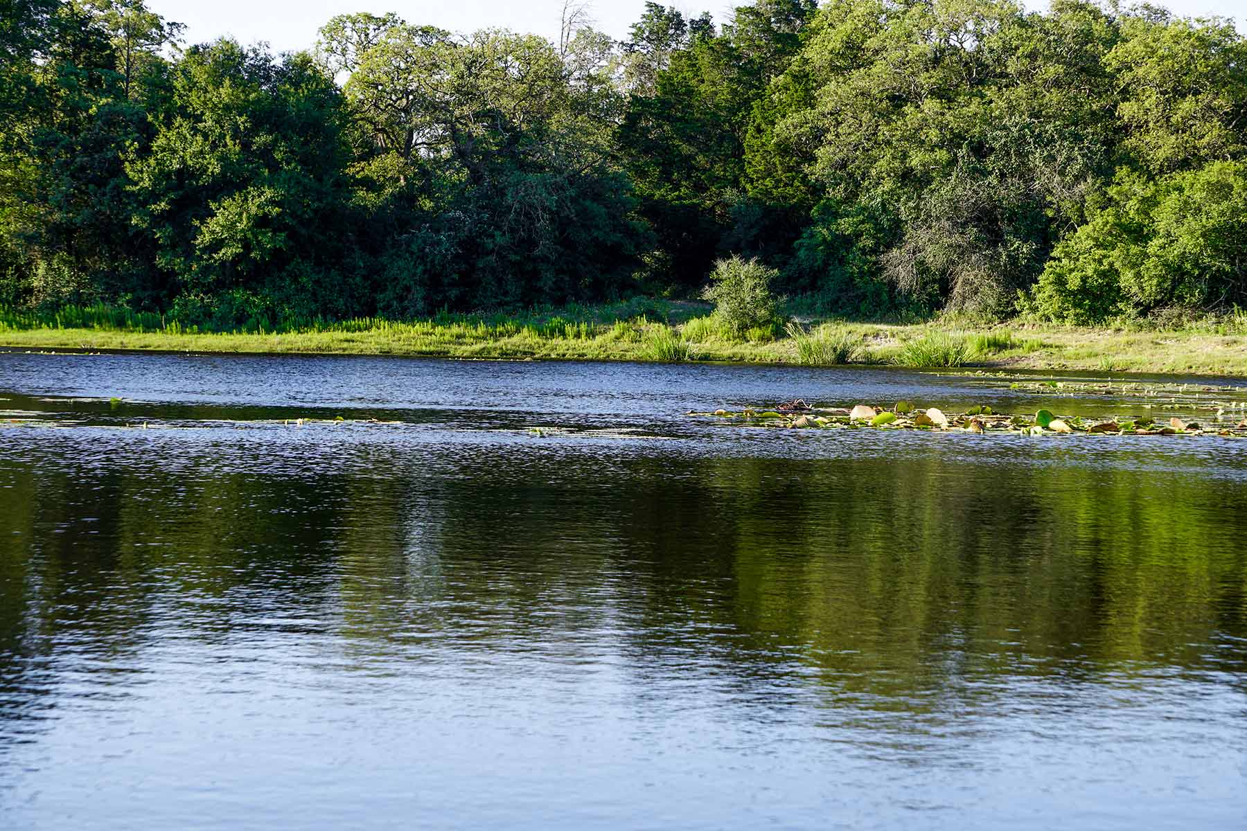 Yiotta Ranch property picture 6 of 50