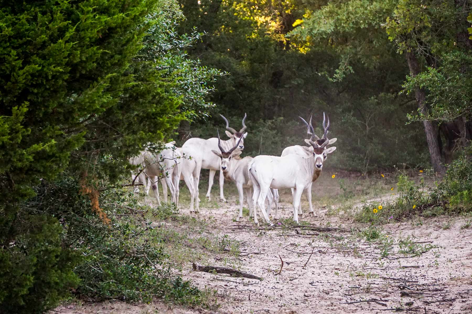 Yiotta Ranch property picture 7 of 50