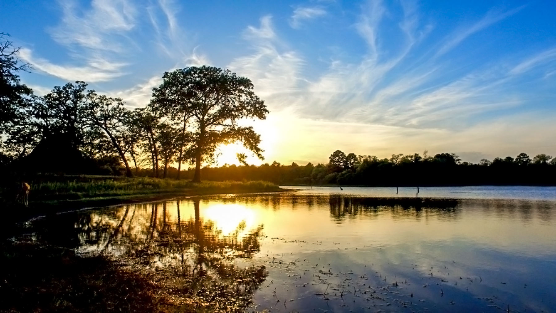Yiotta Ranch property picture 46 of 50