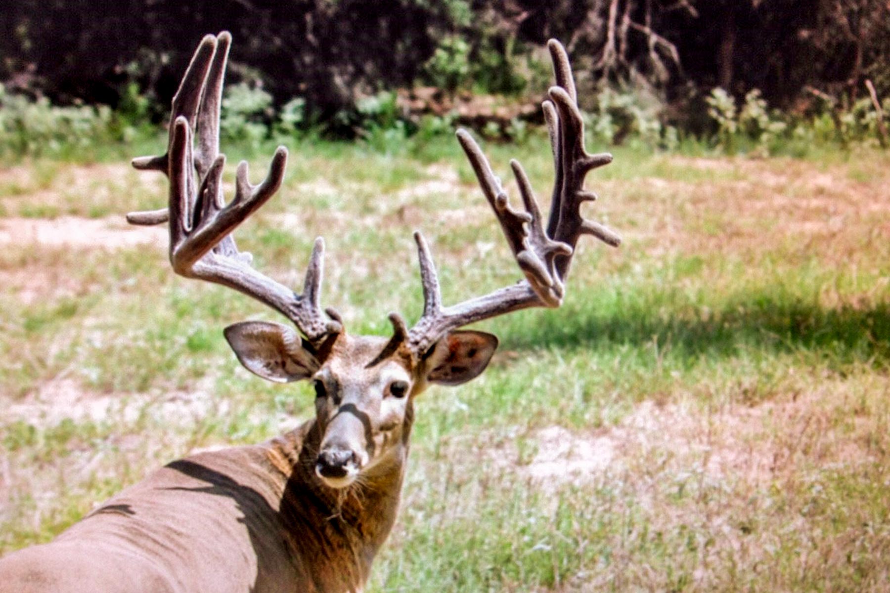 Yiotta Ranch property picture 47 of 50