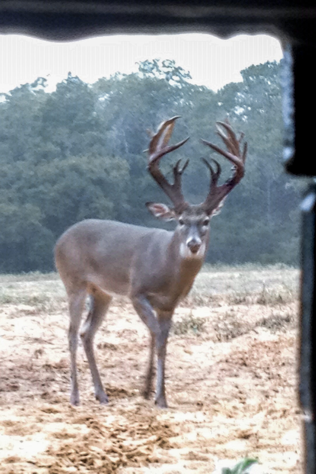 Yiotta Ranch property picture 48 of 50