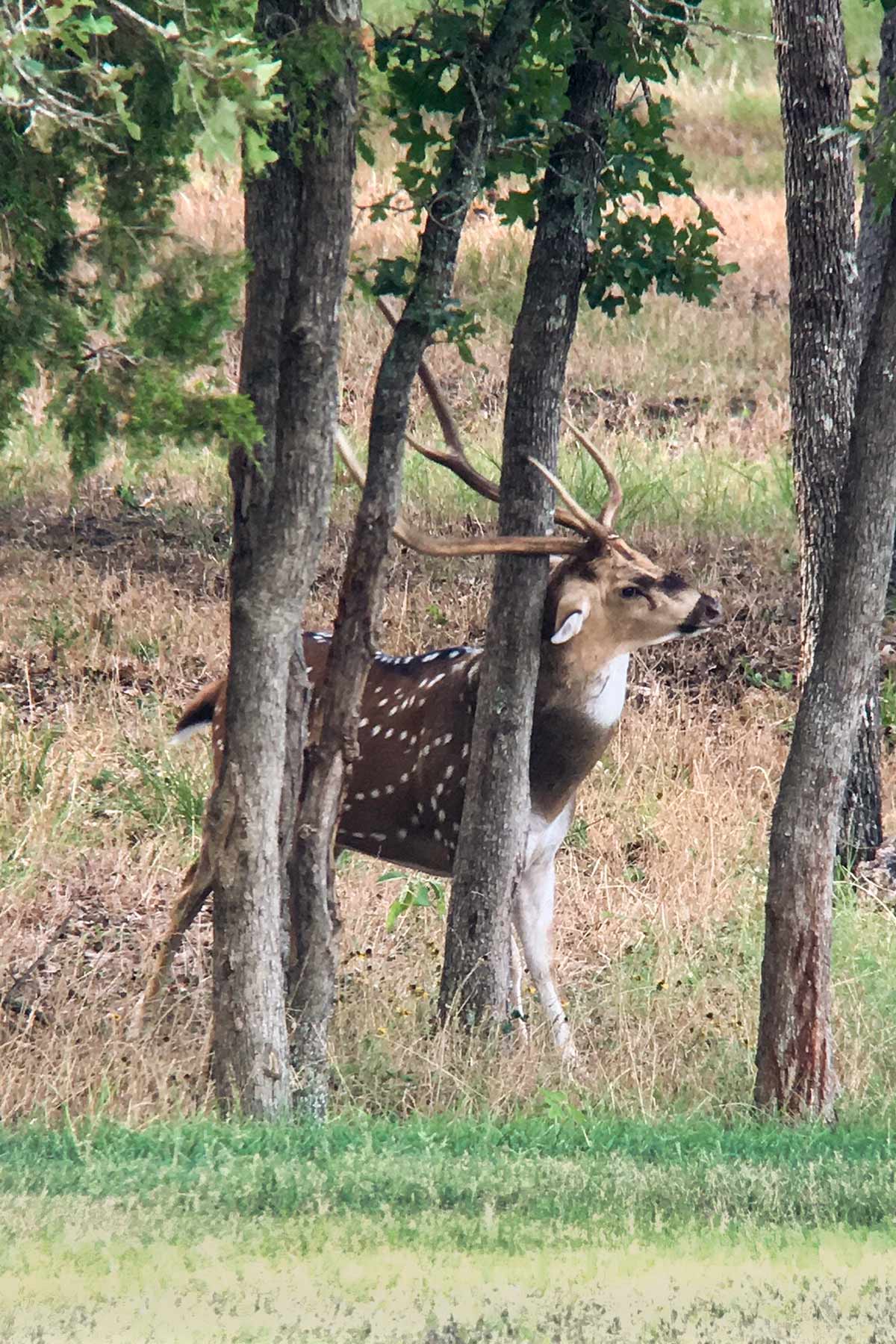 Yiotta Ranch property picture 31 of 50