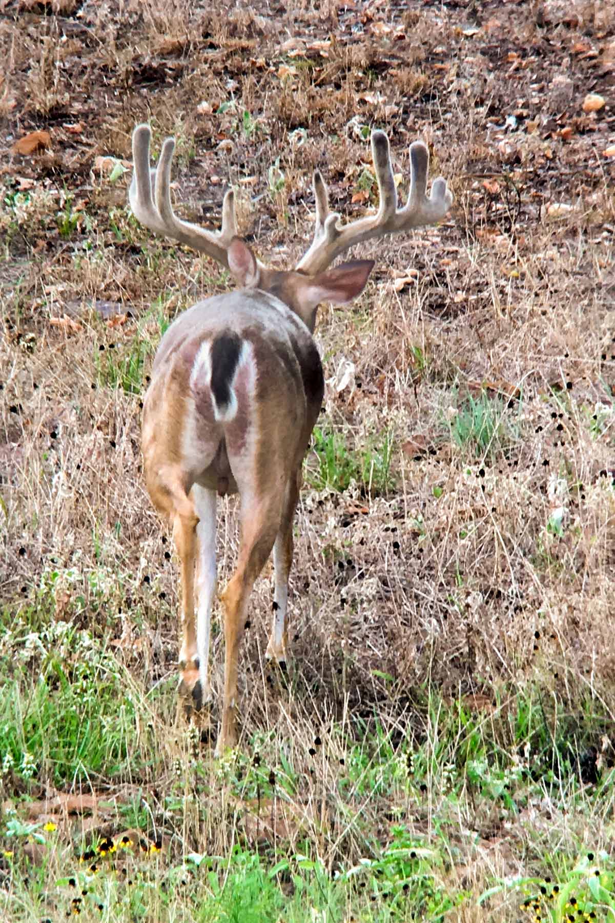 Yiotta Ranch property picture 45 of 50