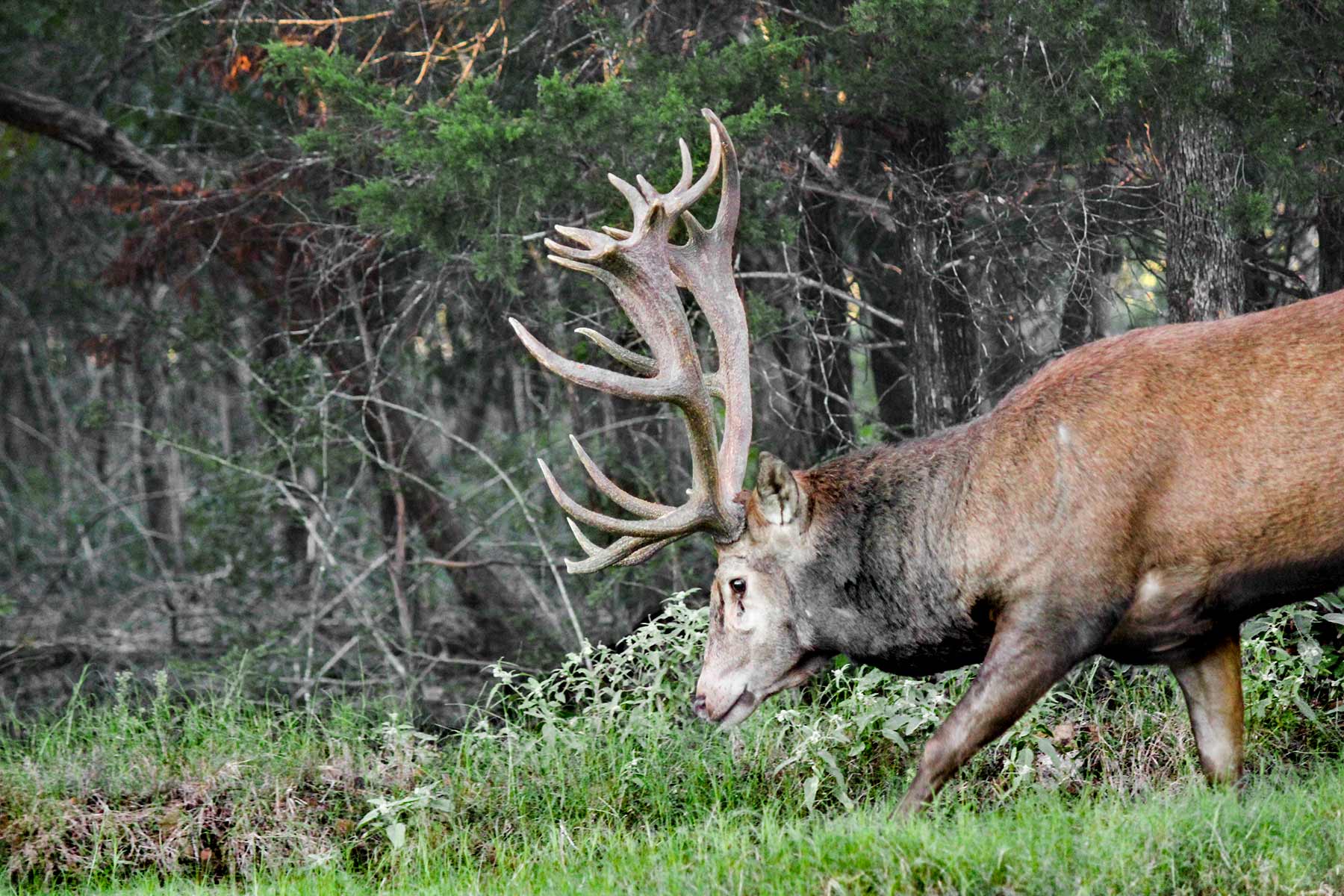 Yiotta Ranch property picture 49 of 50