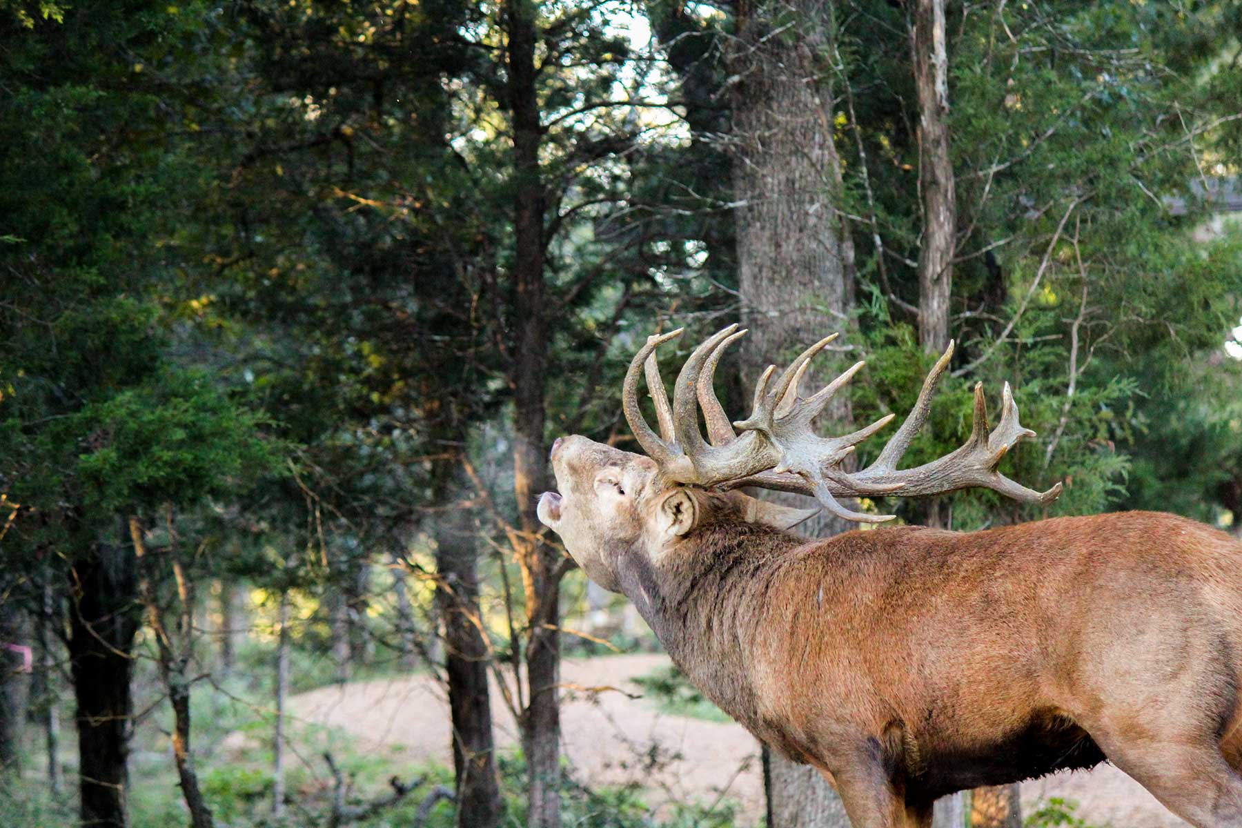 Yiotta Ranch property picture 11 of 50