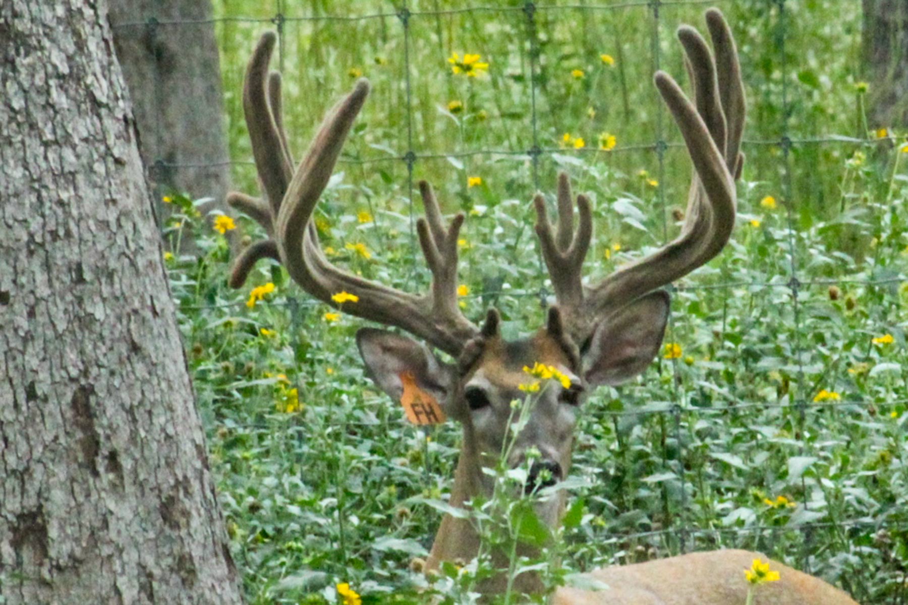 Yiotta Ranch property picture 50 of 50