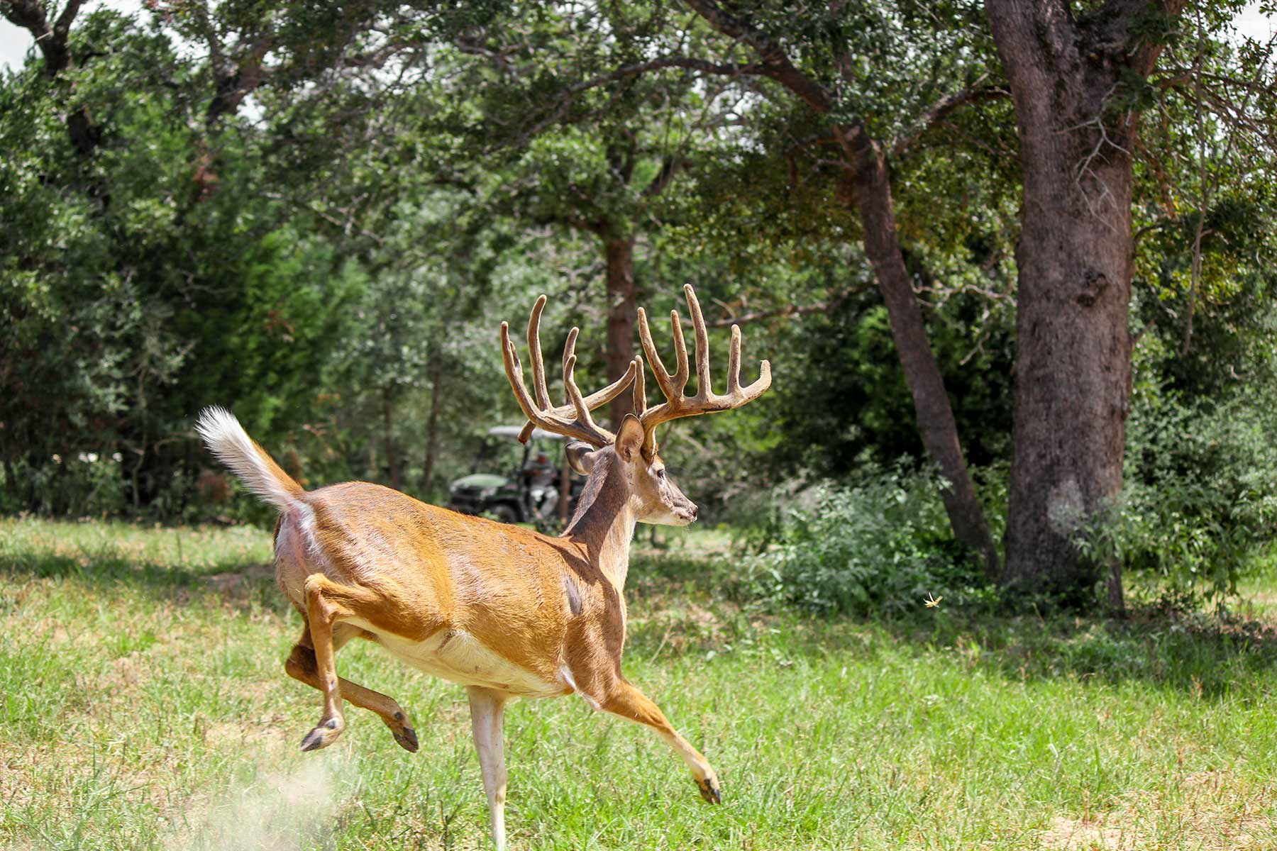 Yiotta Ranch property picture 10 of 50