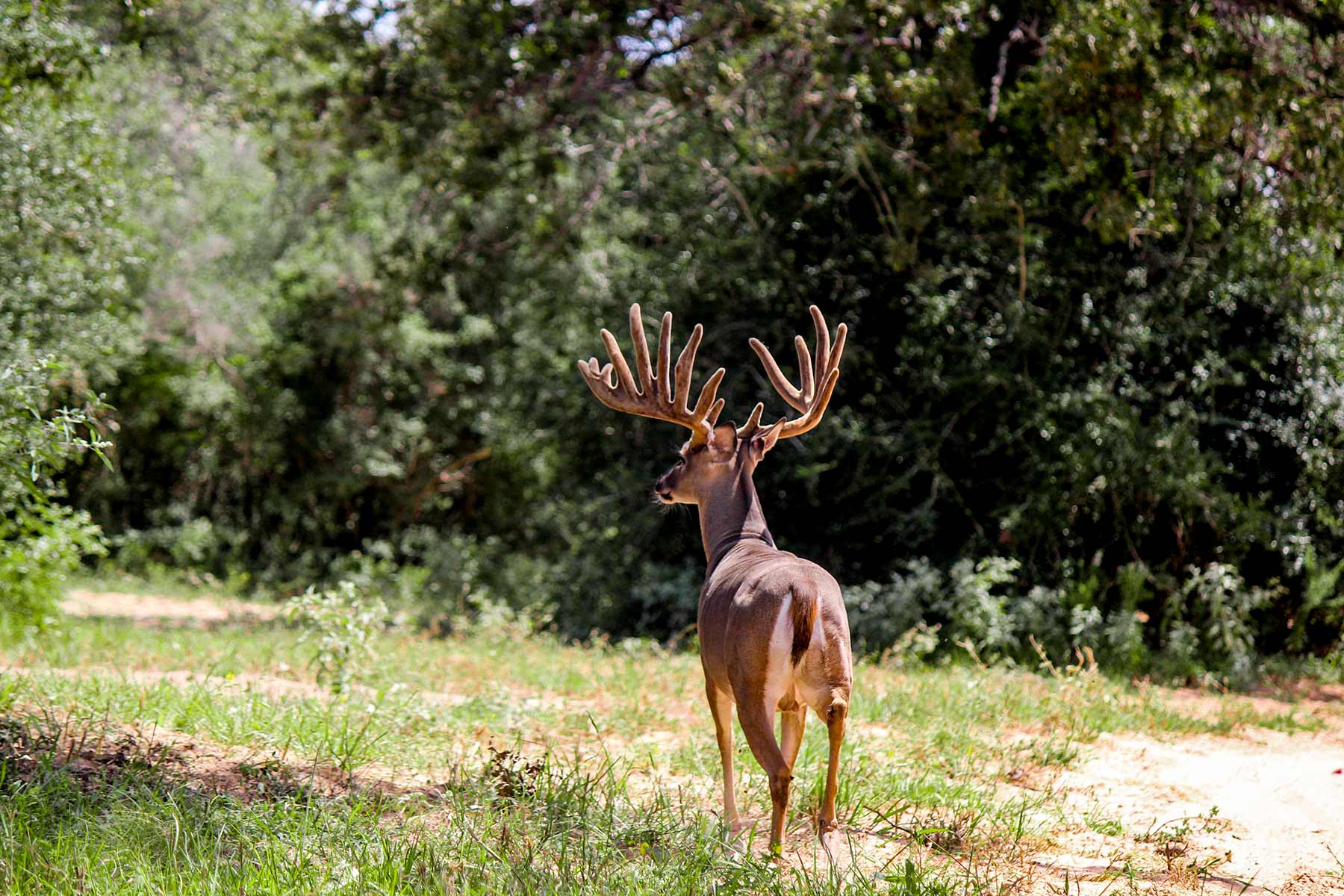 Yiotta Ranch property picture 24 of 50