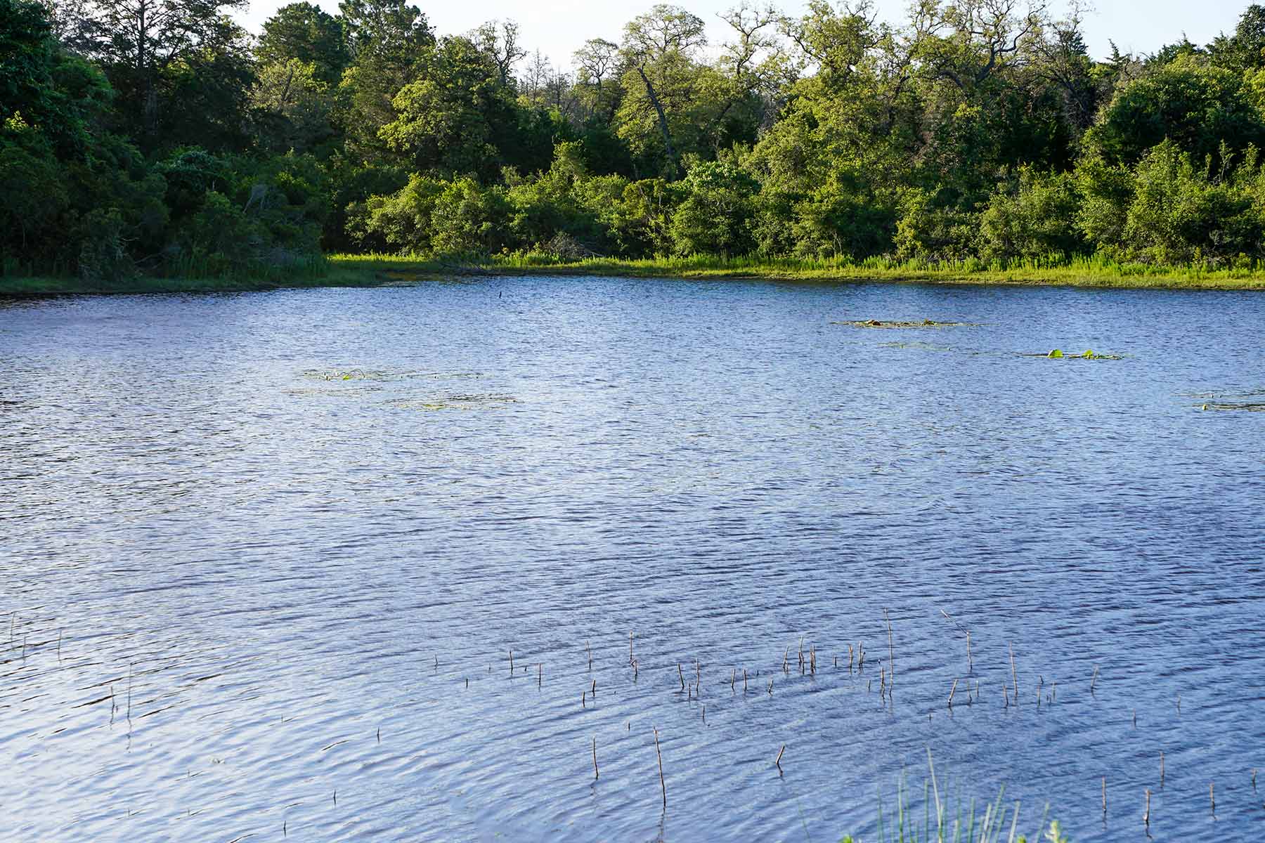 Yiotta Ranch property picture 22 of 50