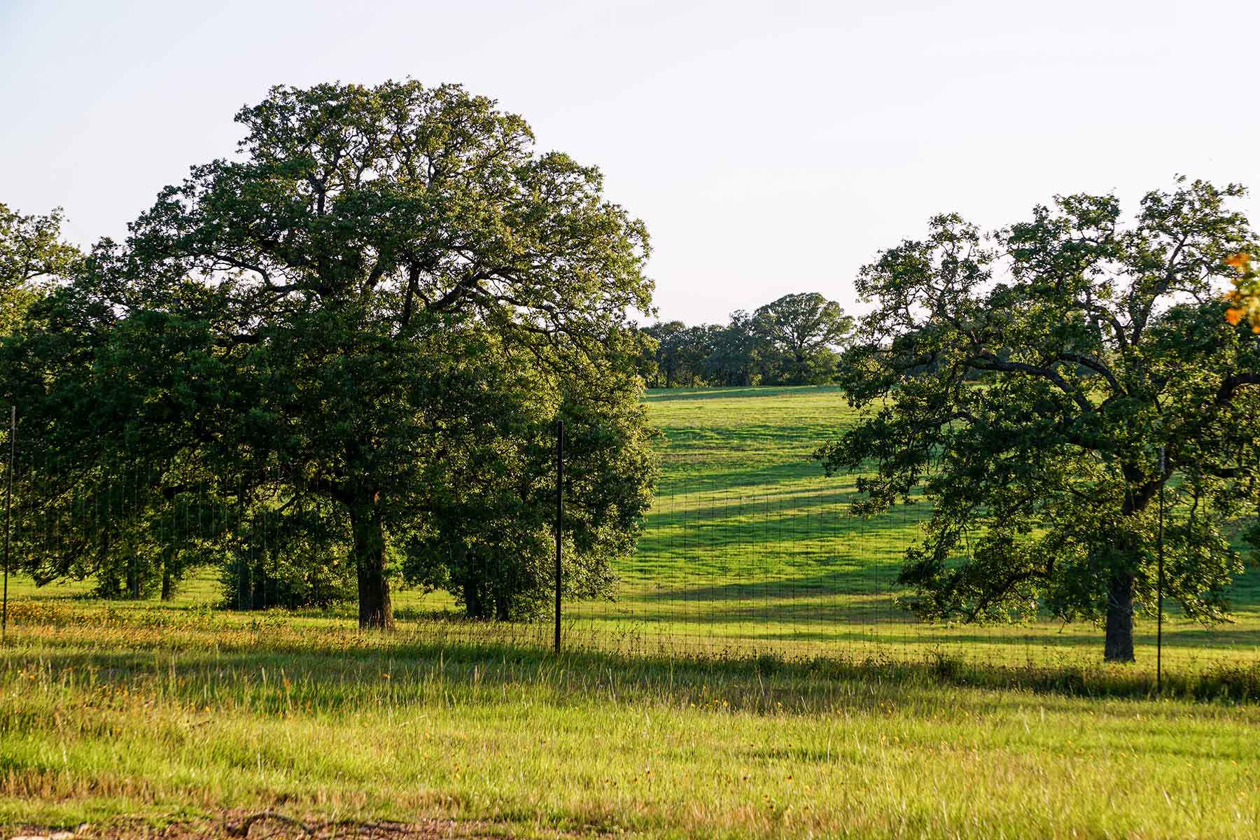 Yiotta Ranch property picture 25 of 50