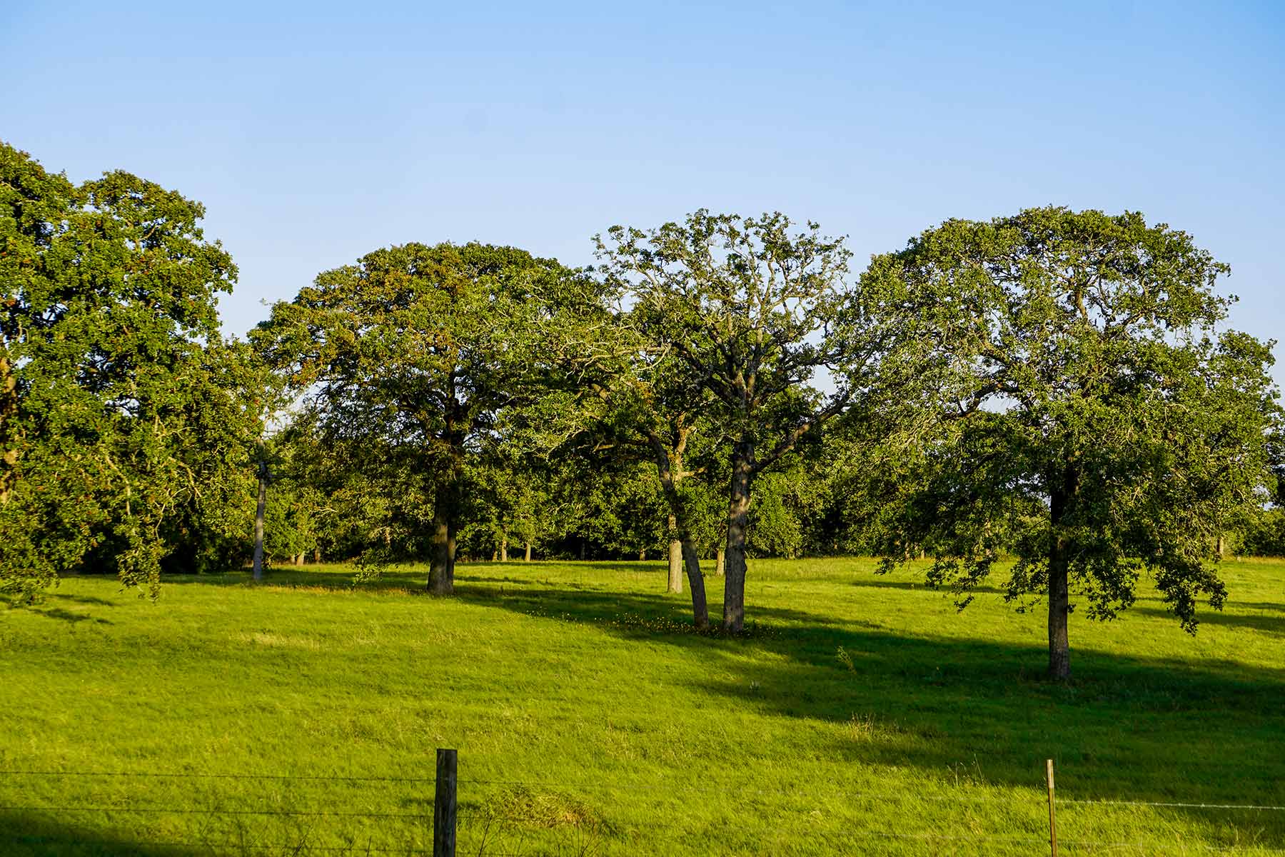 Yiotta Ranch property picture 29 of 50