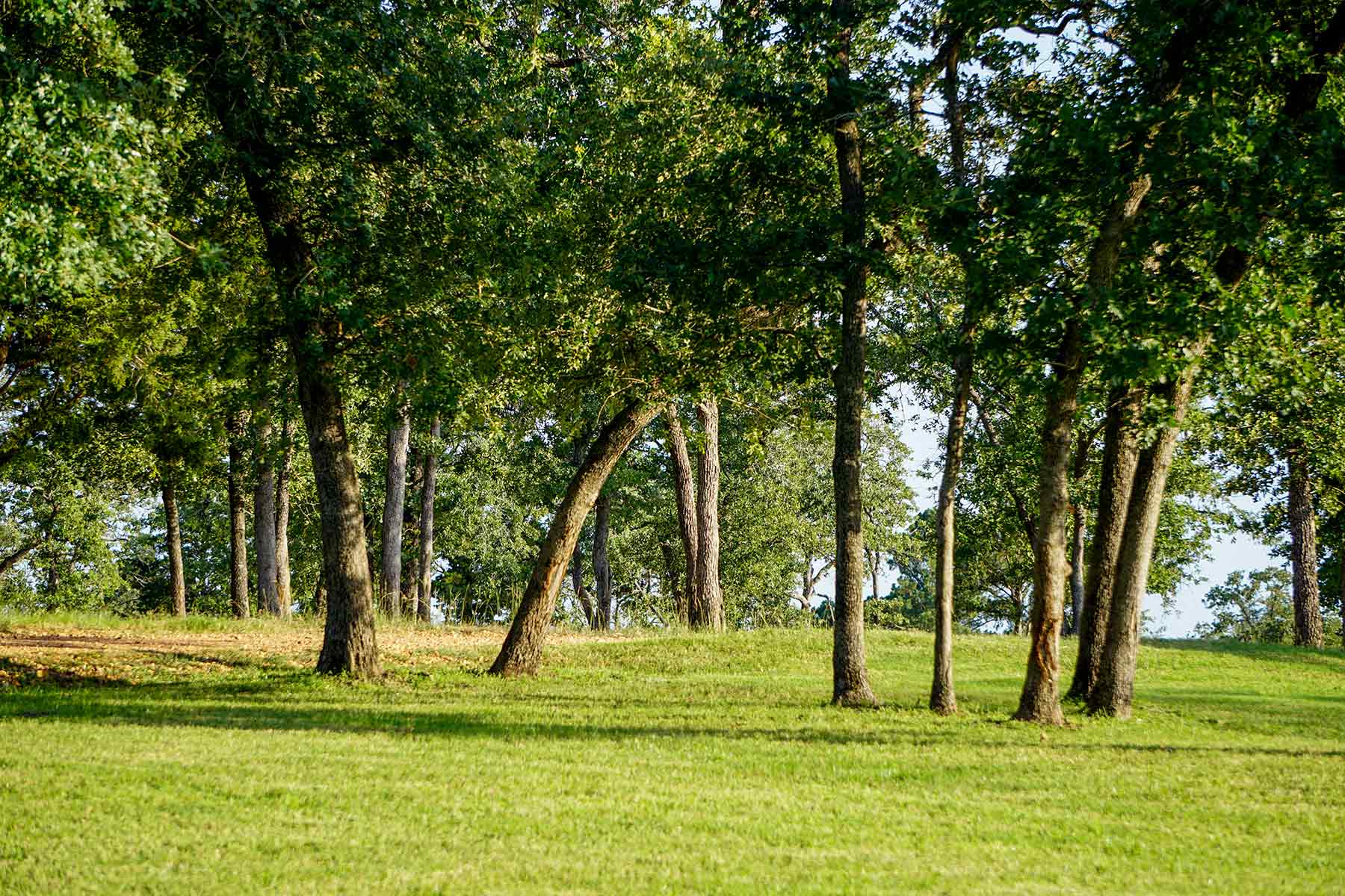 Yiotta Ranch property picture 21 of 50