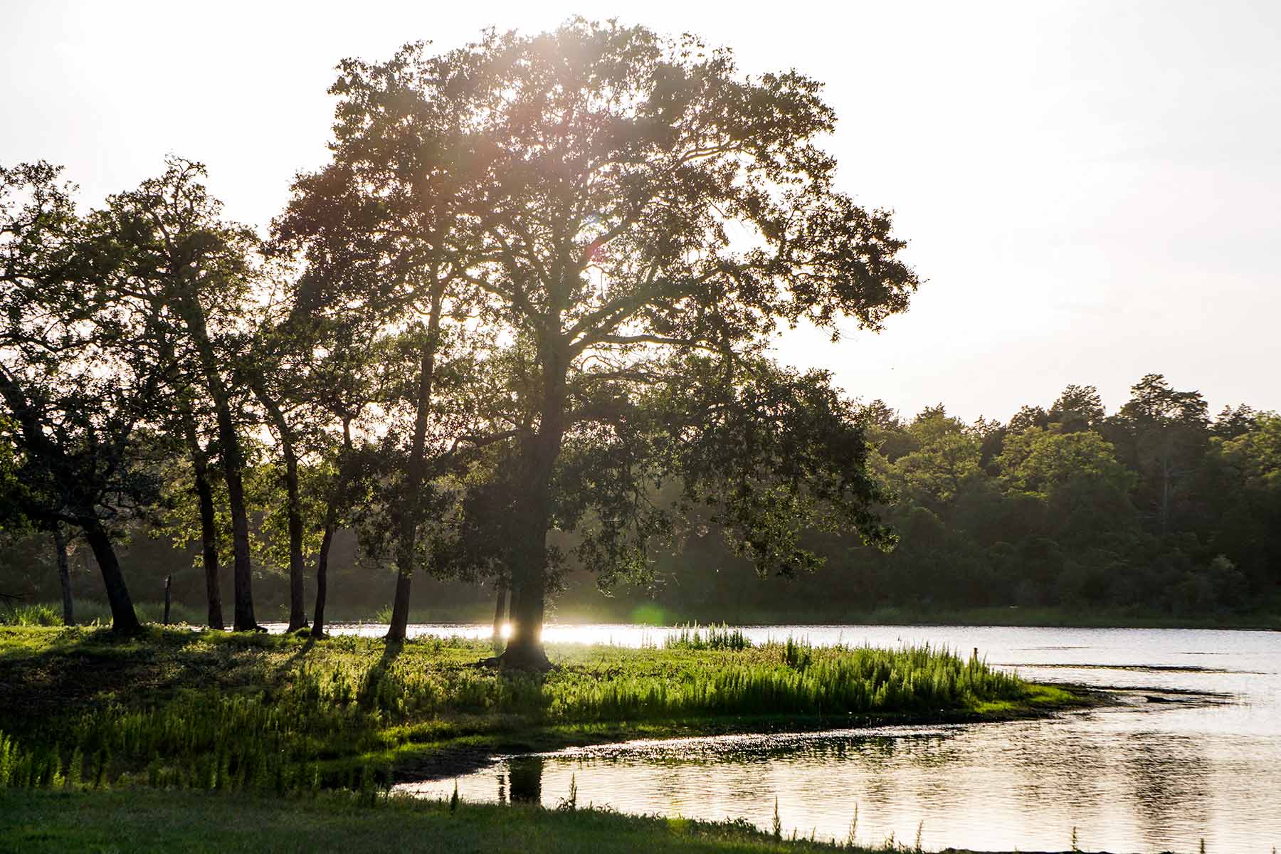 Yiotta Ranch property picture 32 of 50
