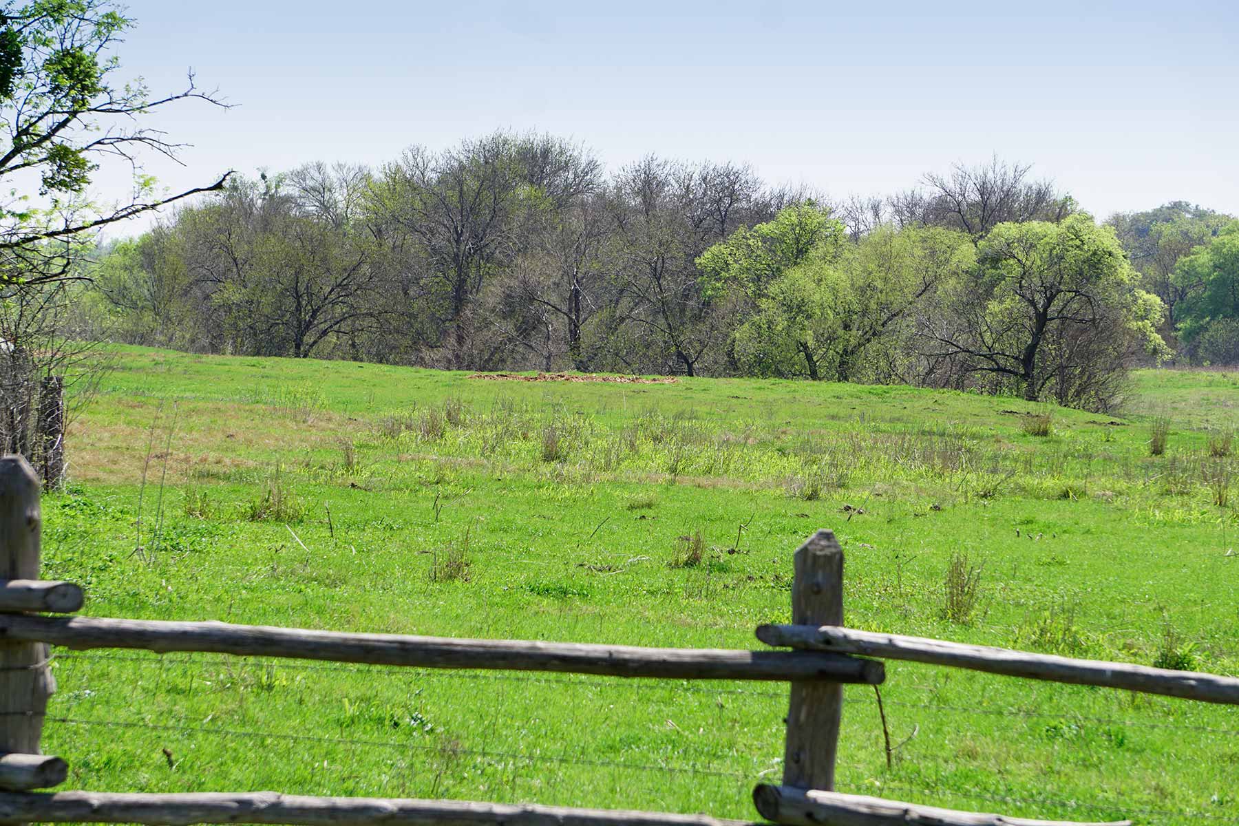 Cow Bayou Pasture property picture 18 of 21