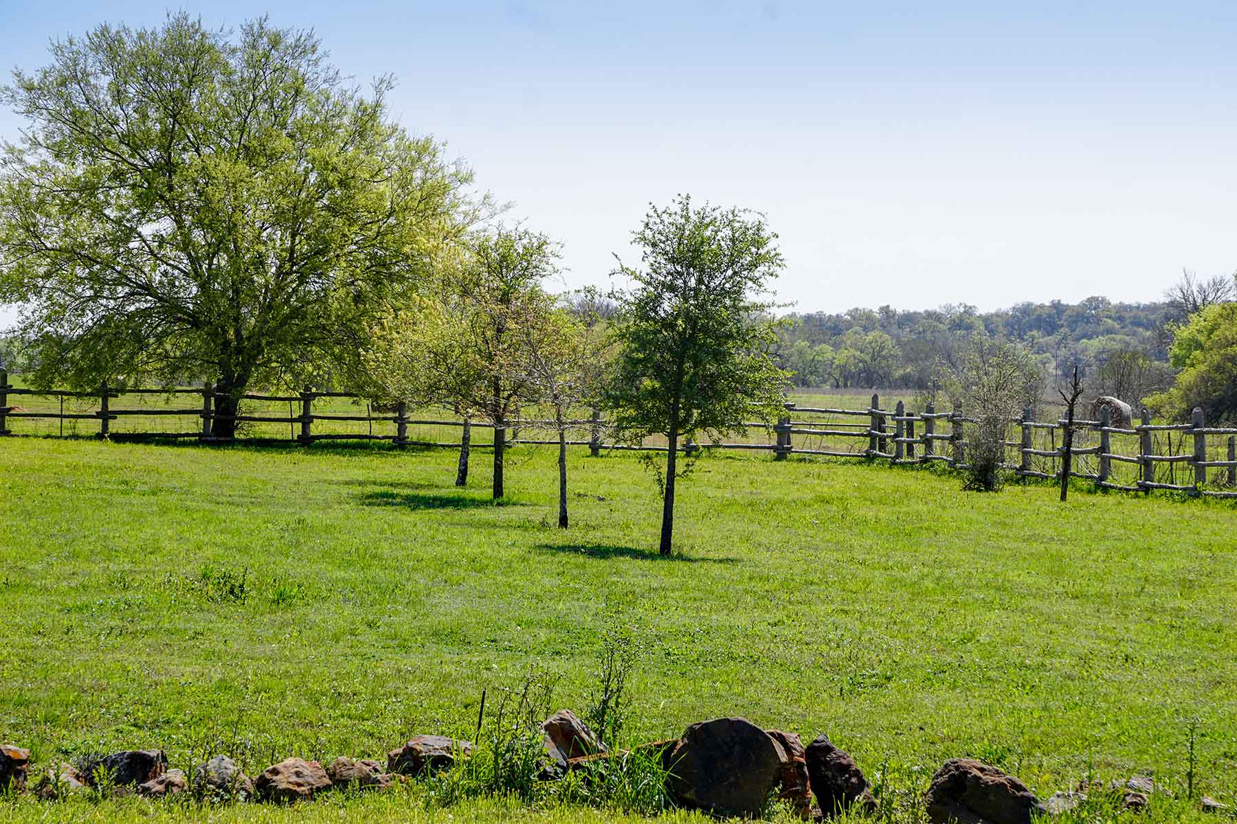 Cow Bayou Pasture property picture 15 of 21