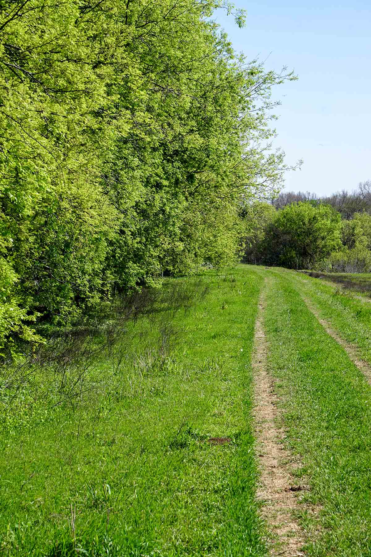 Cow Bayou Pasture property picture 17 of 21