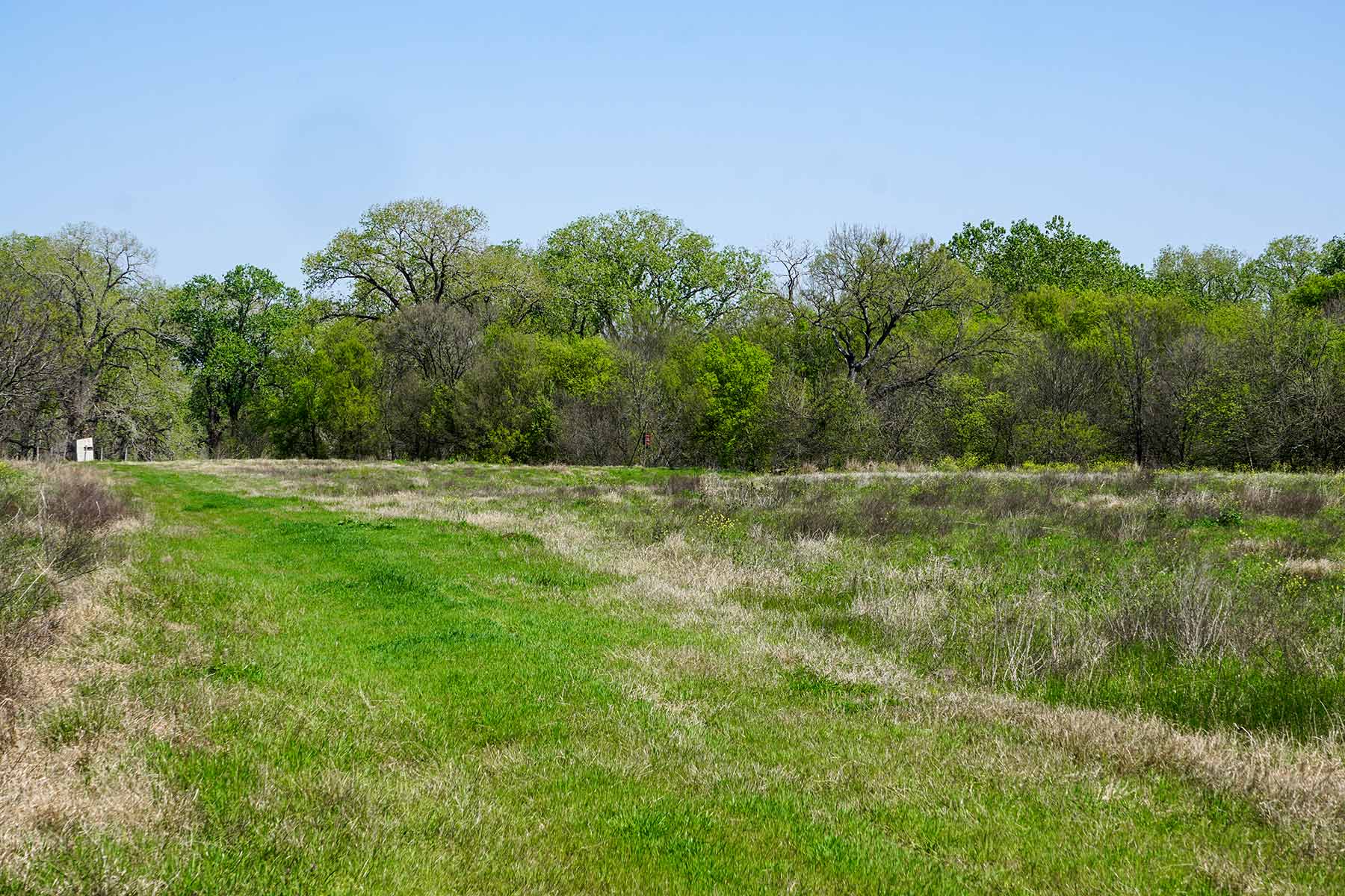 Cow Bayou Pasture property picture 16 of 21