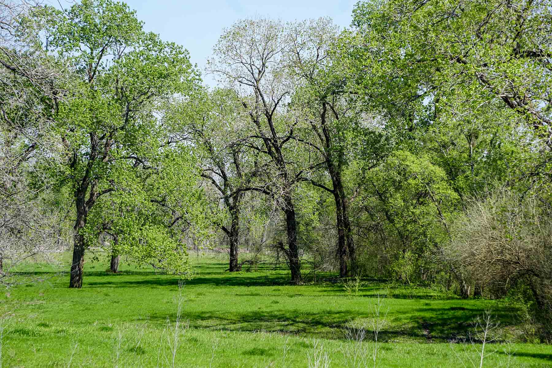 Cow Bayou Pasture property picture 14 of 21