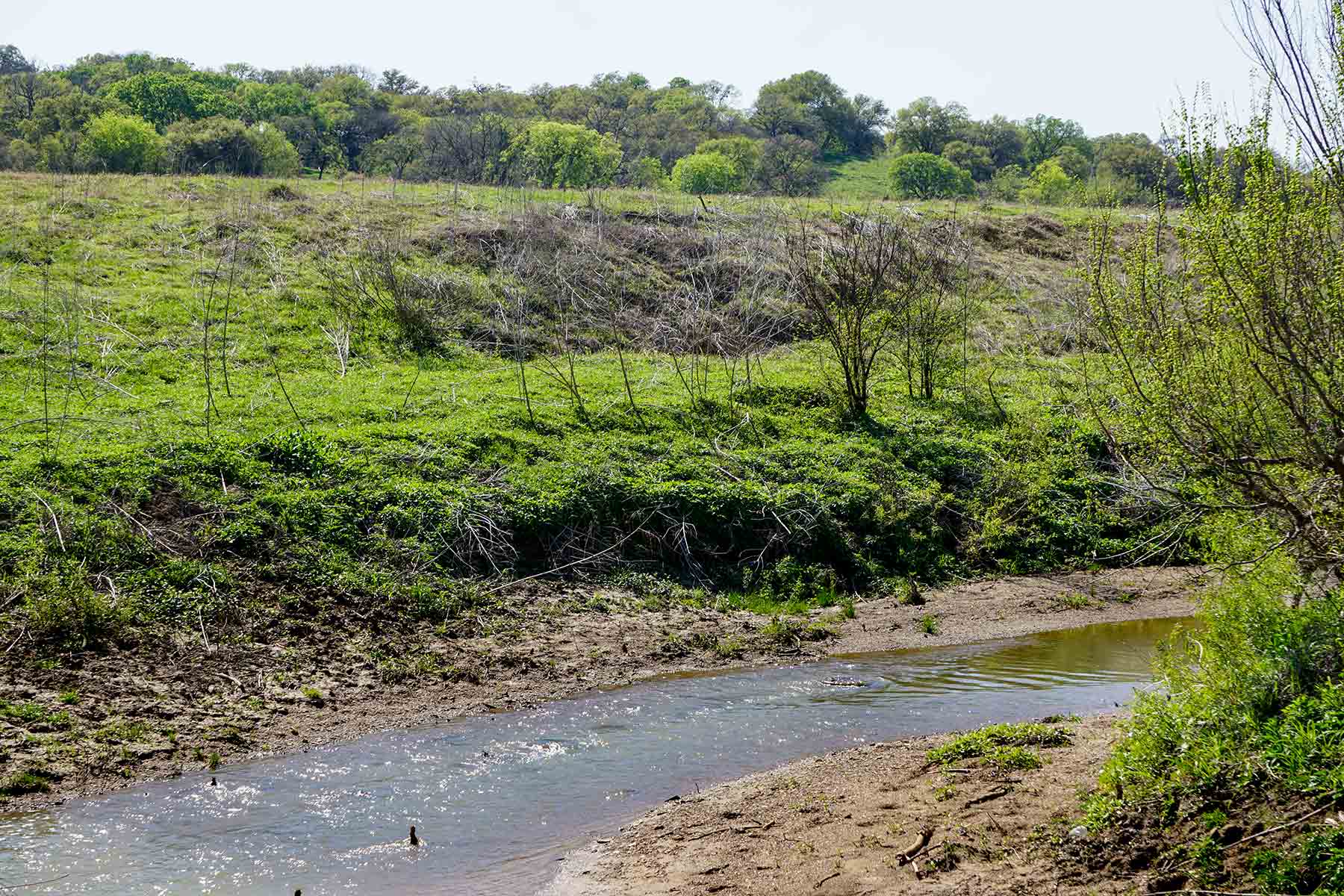 Cow Bayou Pasture property picture 19 of 21