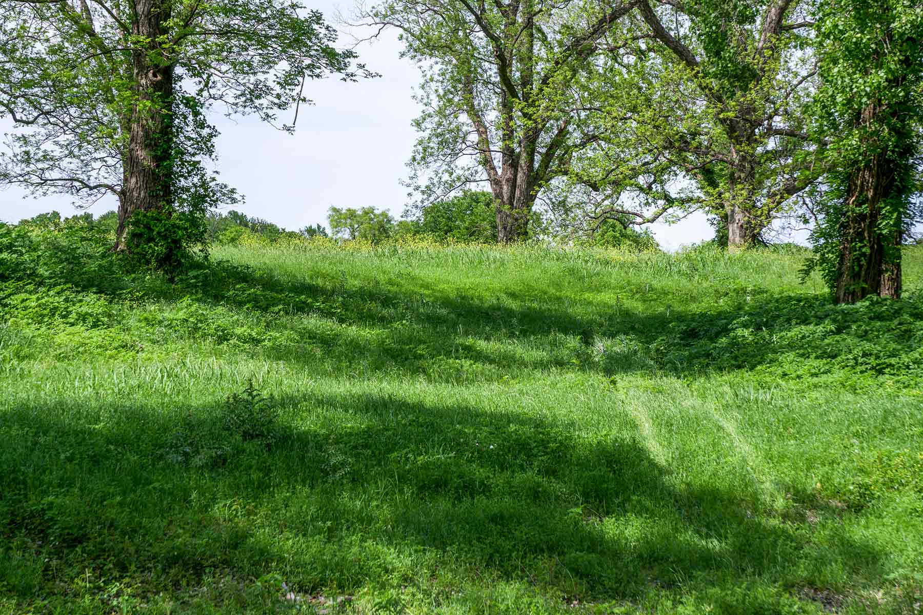 Cow Bayou Pasture property picture 8 of 21