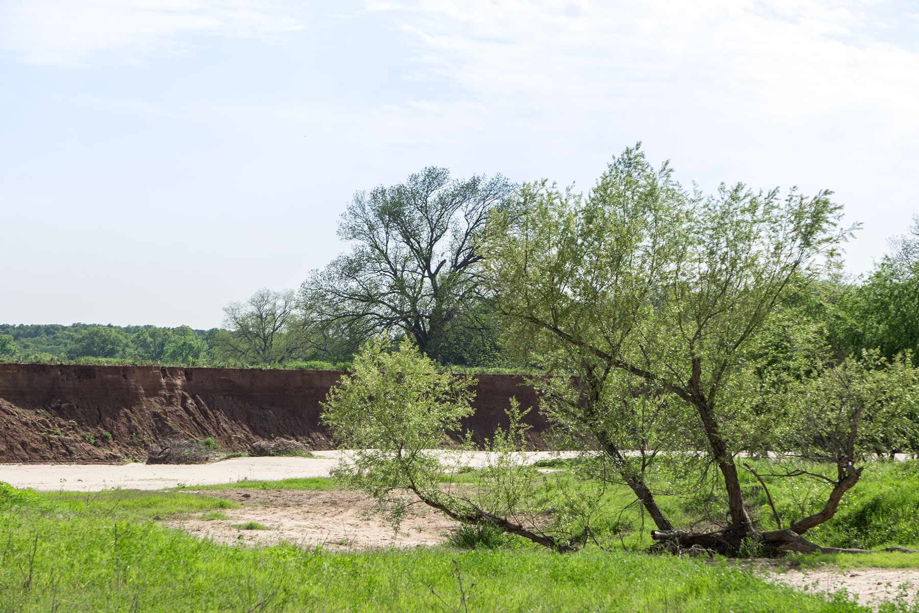 Cow Bayou Pasture property picture 12 of 21