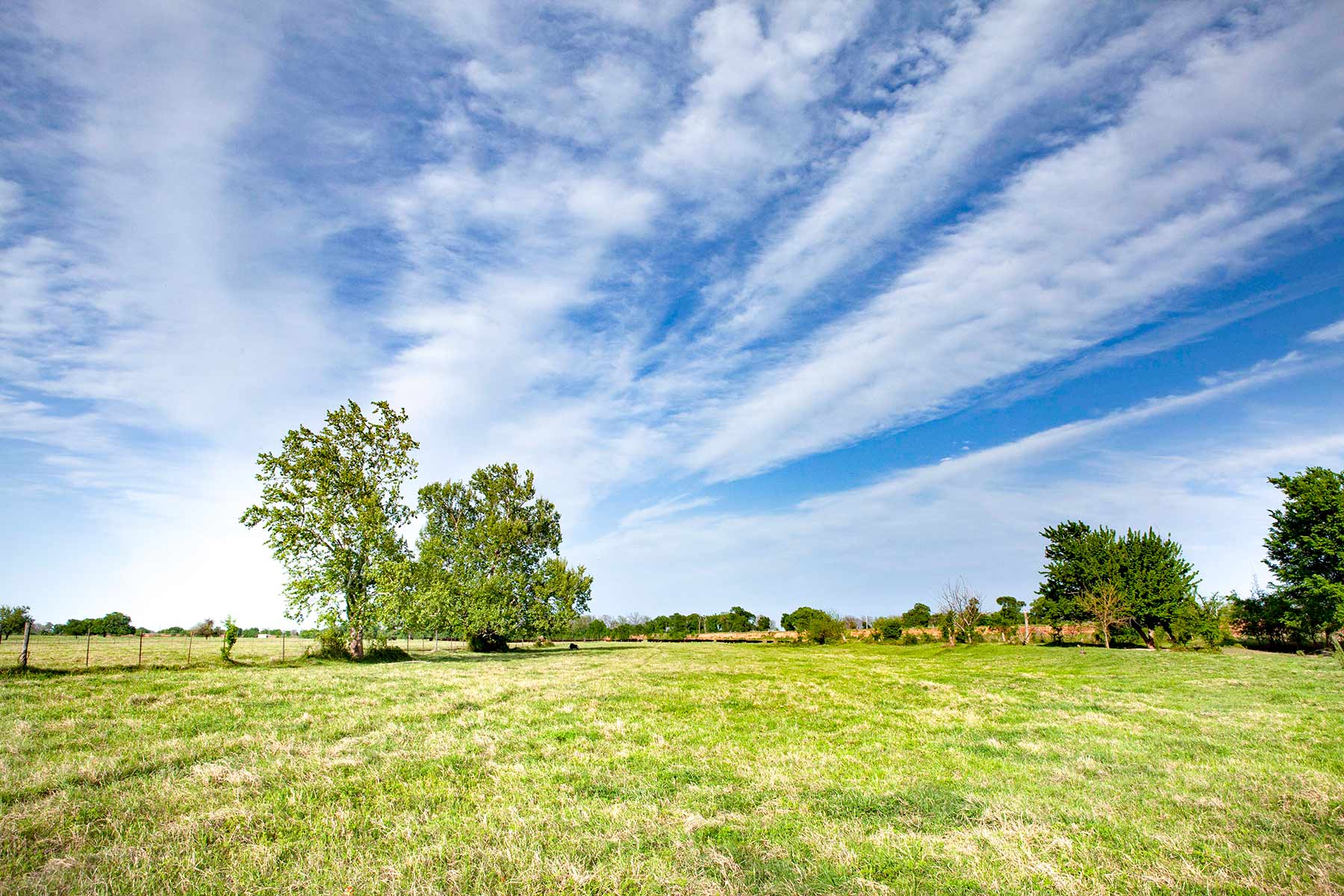 Cow Bayou Pasture property picture 4 of 21