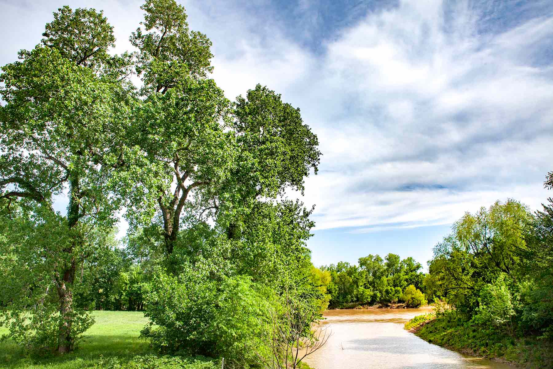 Cow Bayou Pasture property picture 3 of 21