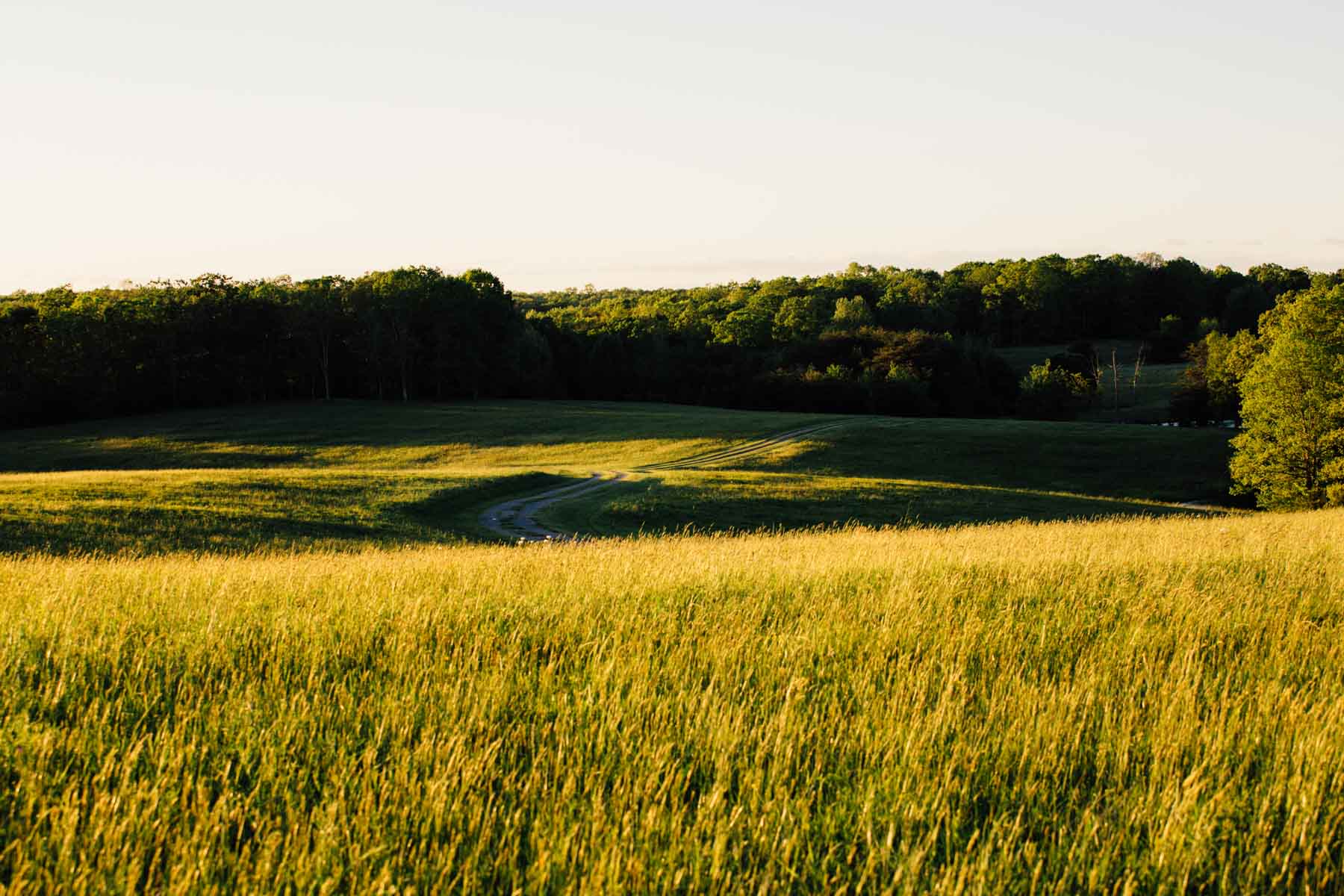 Plum Nelly Farm property picture 4 of 45