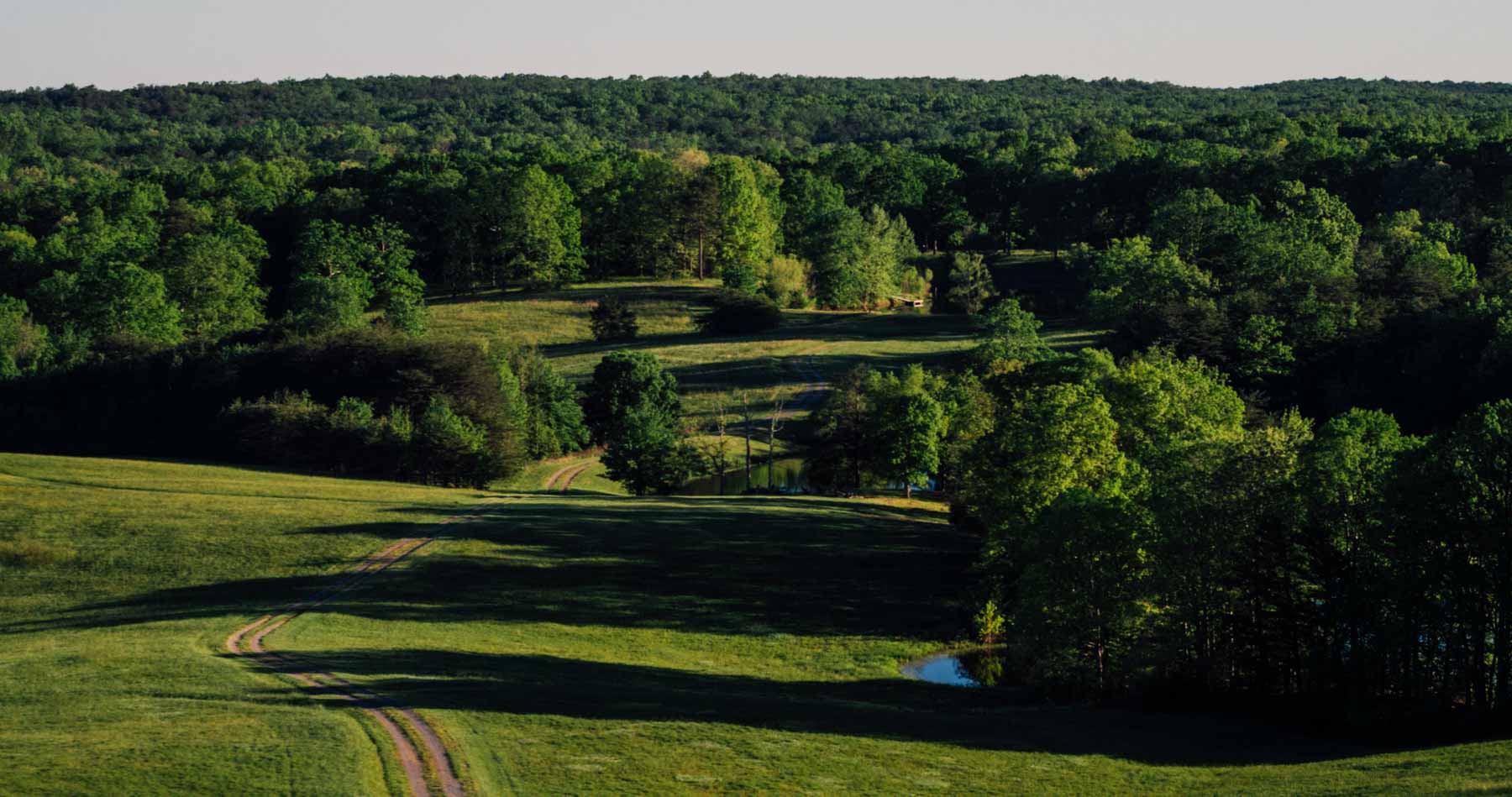 Plum Nelly Farm property picture 5 of 45