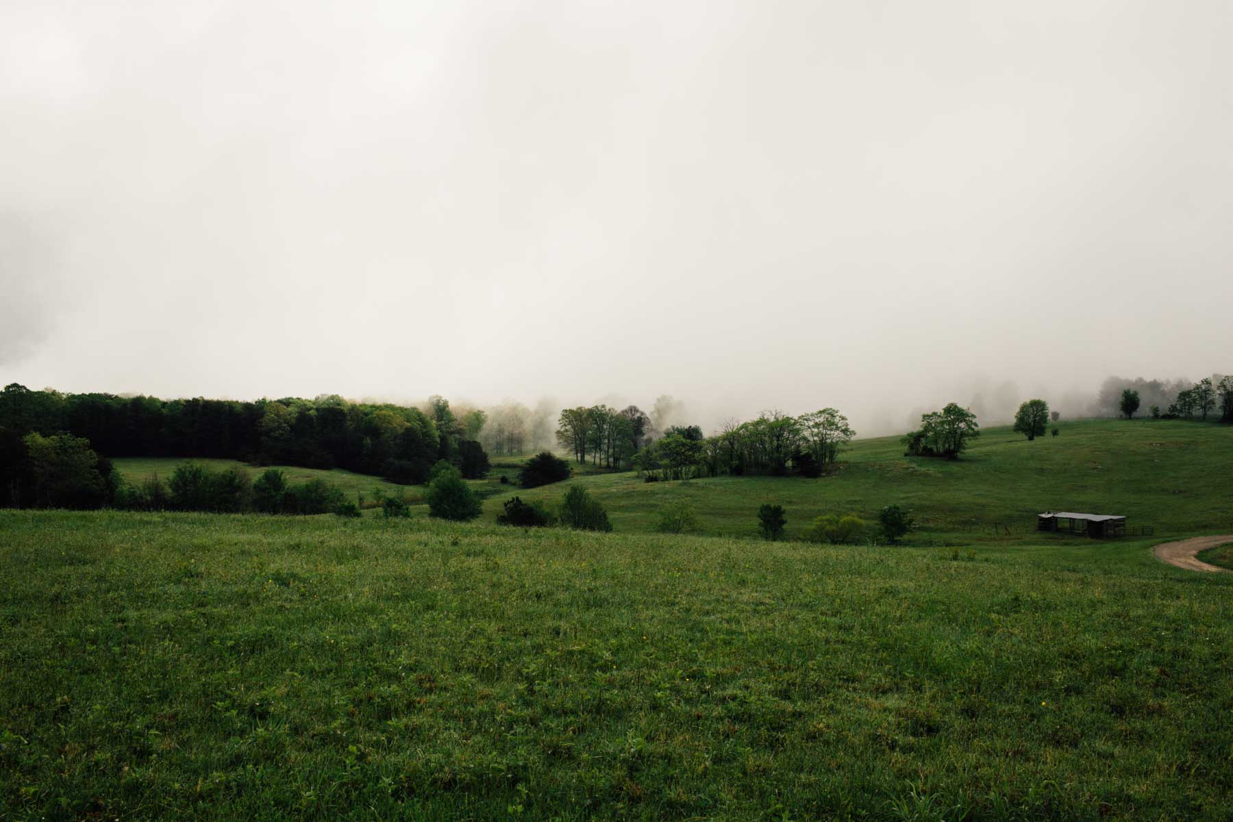 Plum Nelly Farm property picture 6 of 45