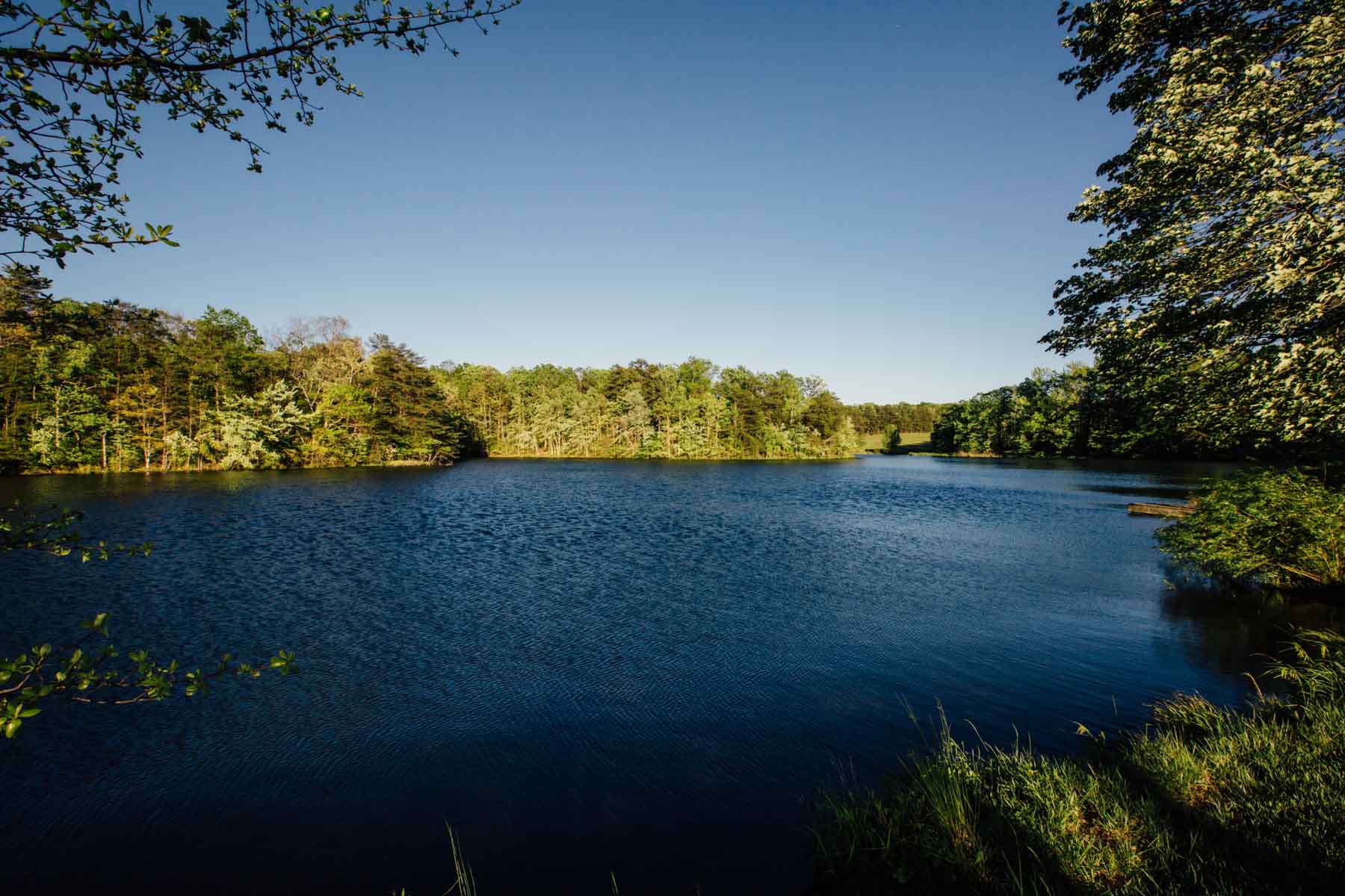 Plum Nelly Farm property picture 7 of 45