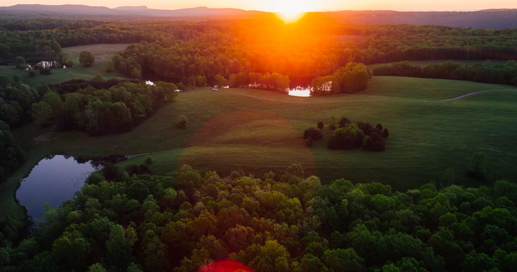 Plum Nelly Farm property picture 9 of 45