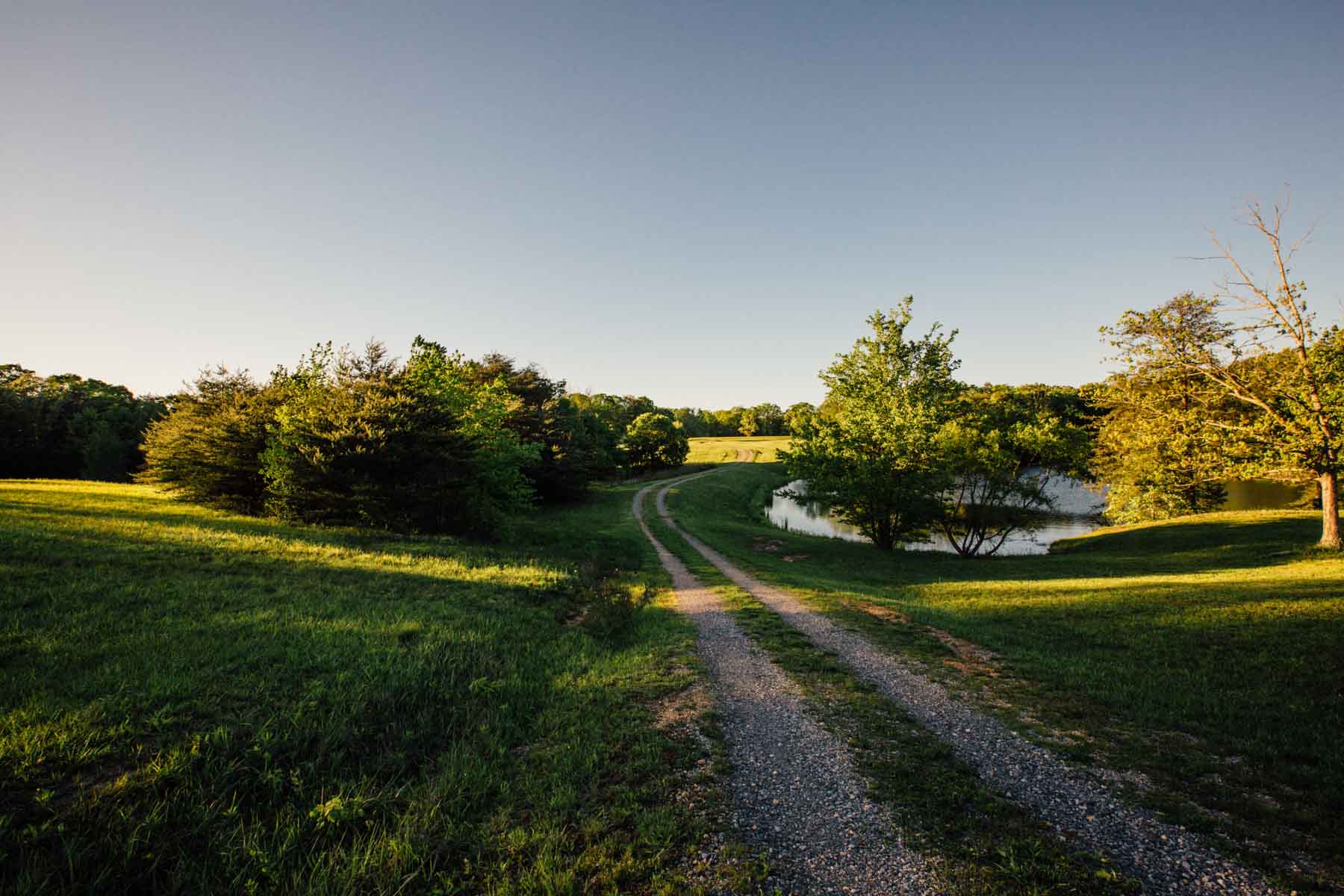 Plum Nelly Farm property picture 12 of 45