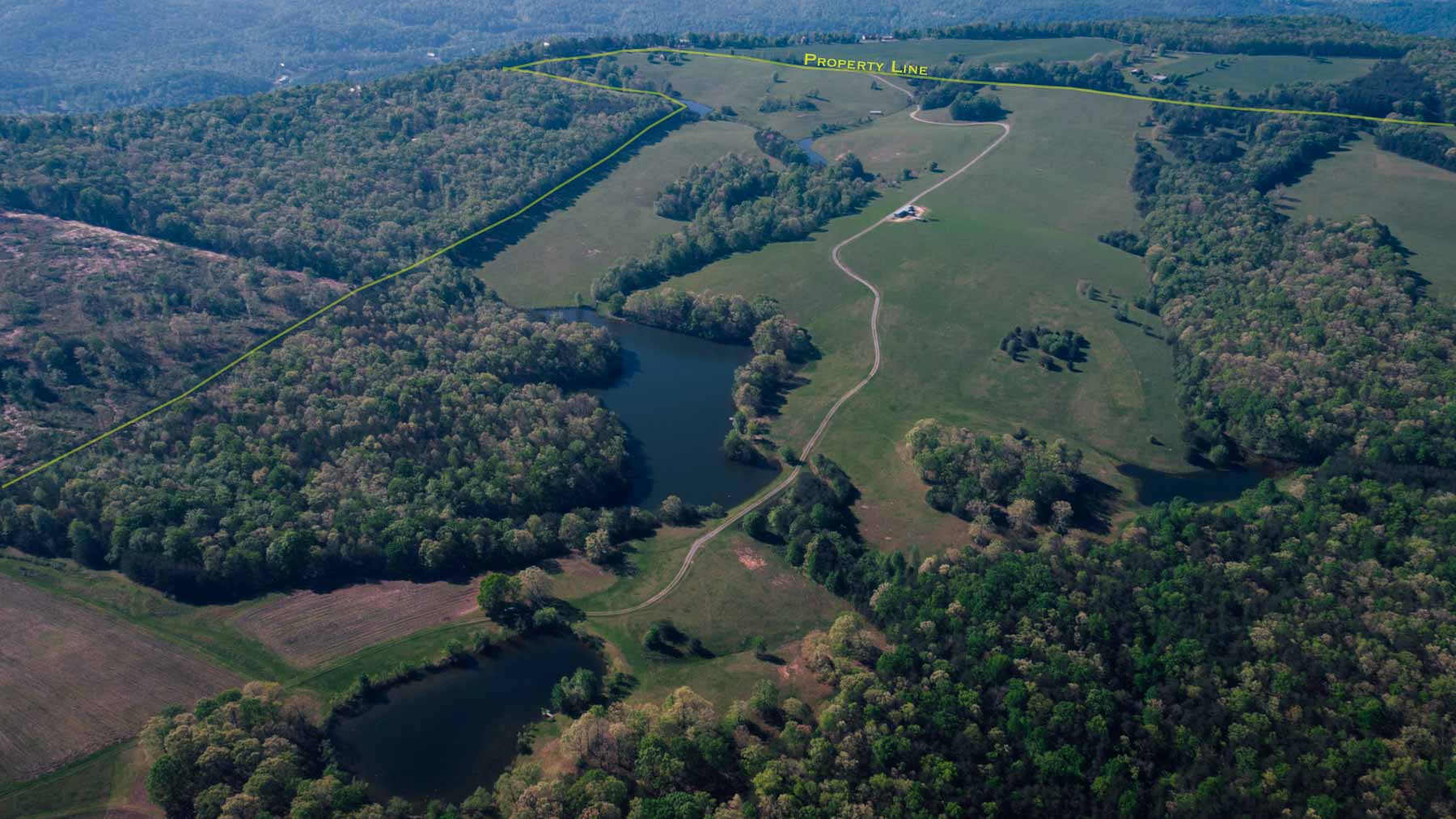 Plum Nelly Farm property picture 21 of 45