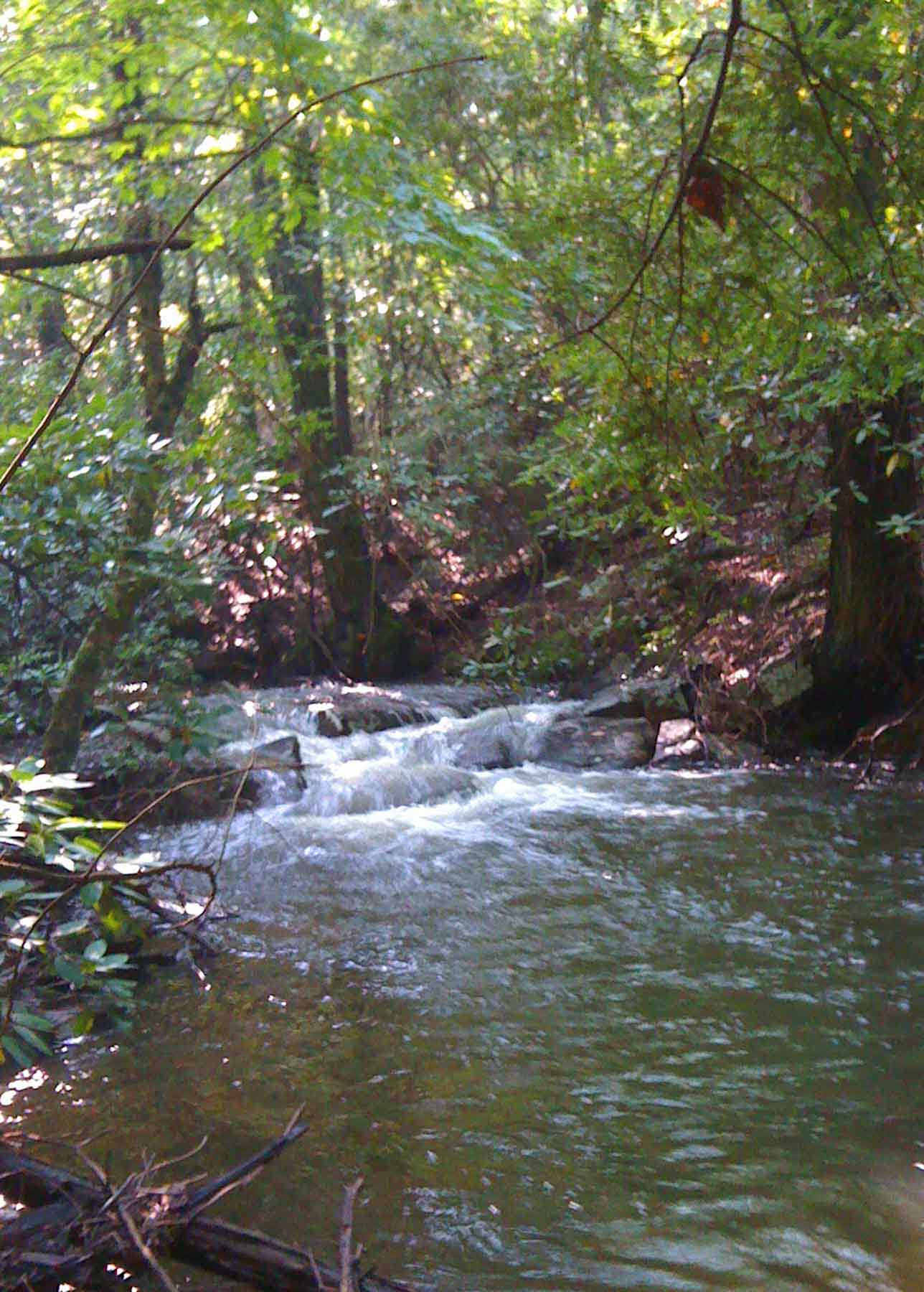 Plum Nelly Farm property picture 26 of 45