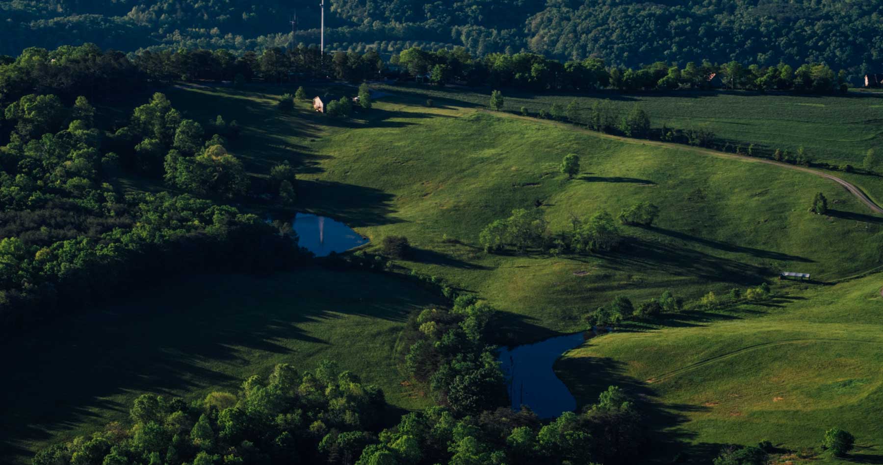 Plum Nelly Farm property picture 27 of 45