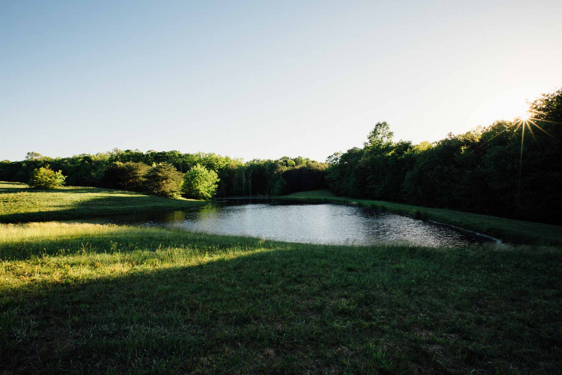 Plum Nelly Farm property picture 28 of 45