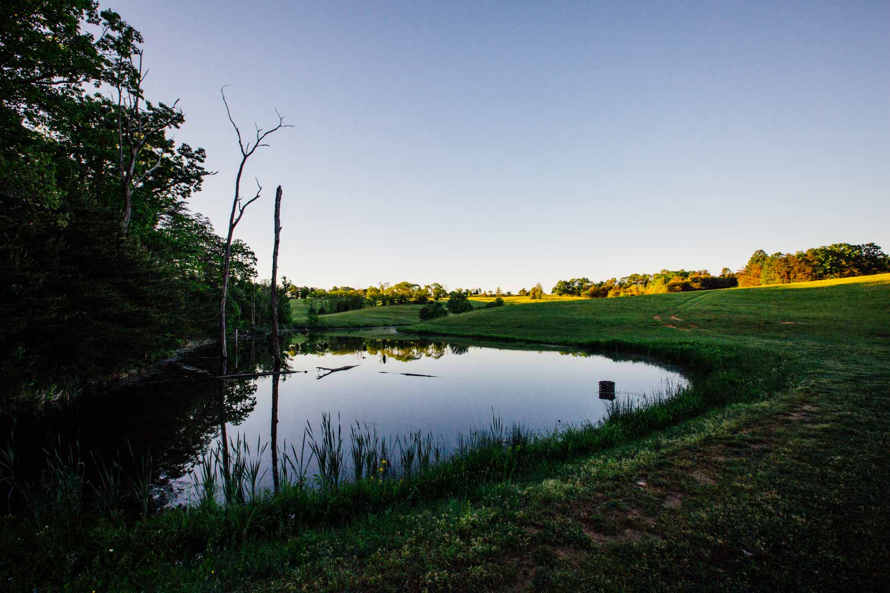 Plum Nelly Farm property picture 29 of 45