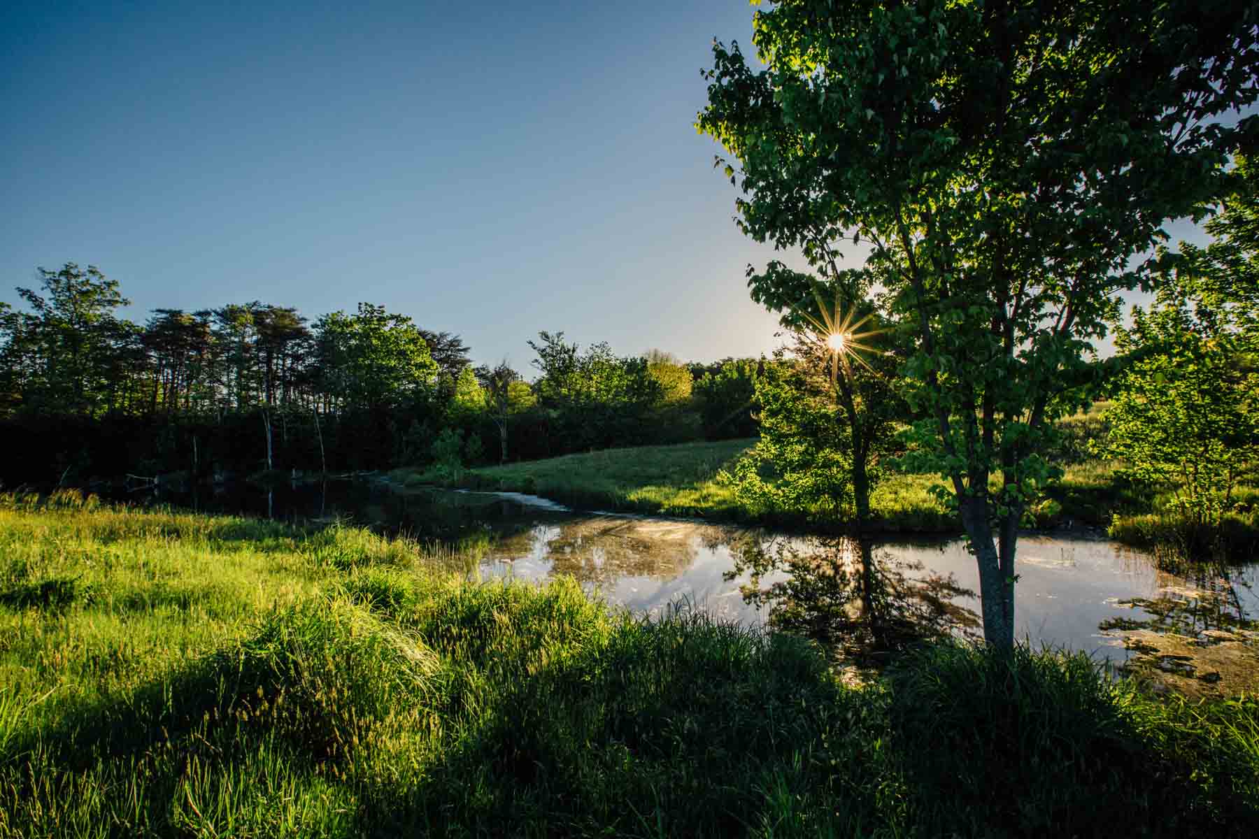 Plum Nelly Farm property picture 30 of 45