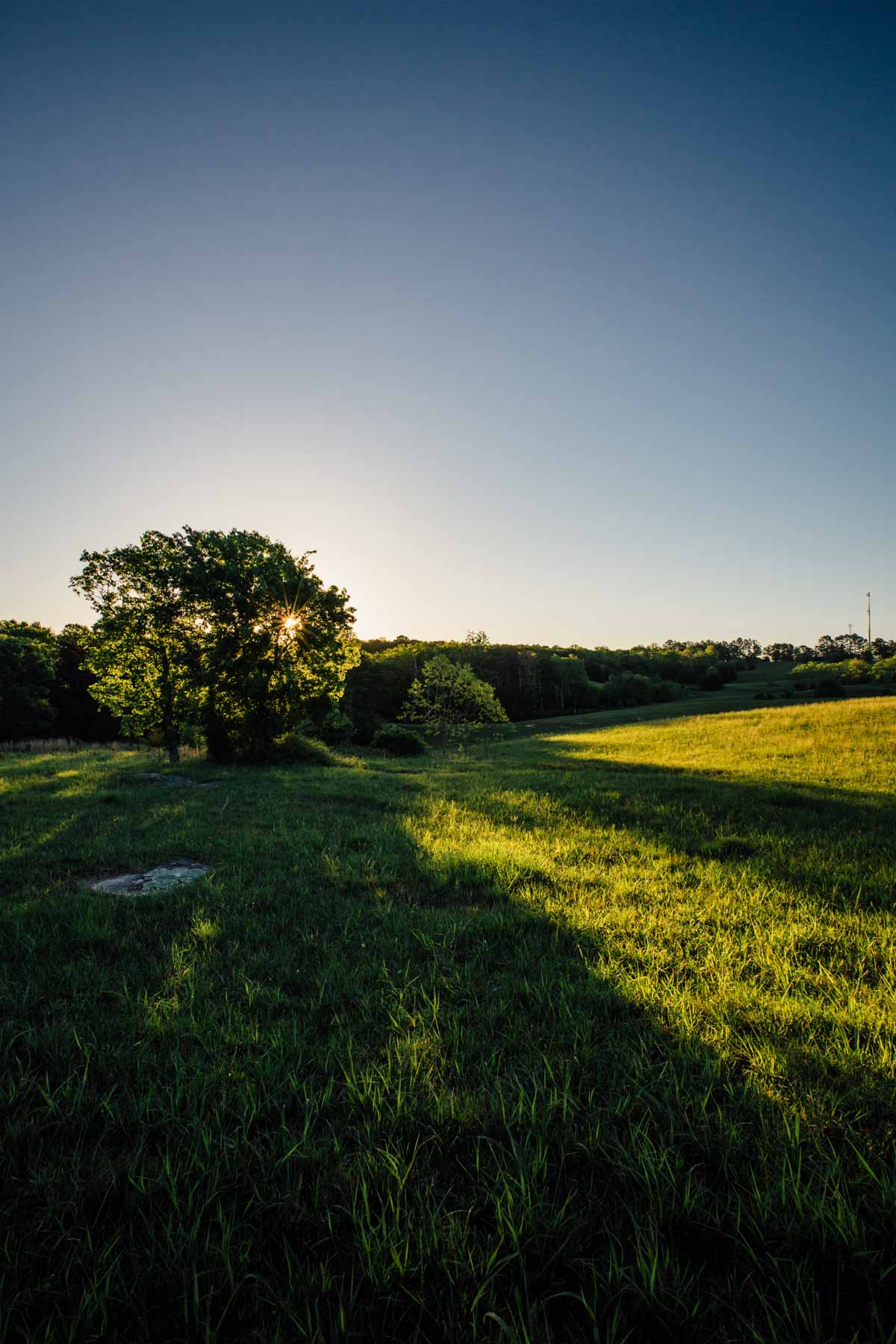 Plum Nelly Farm property picture 33 of 45