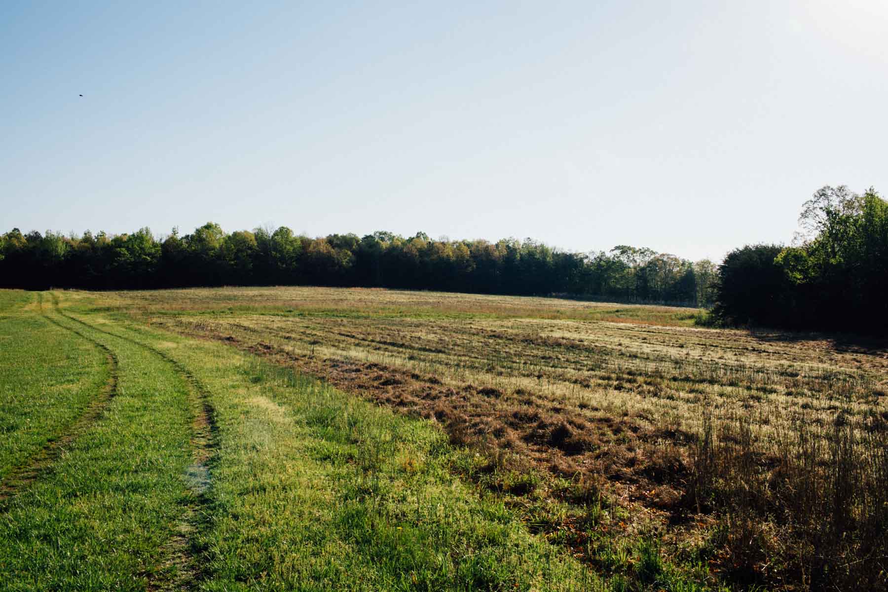 Plum Nelly Farm property picture 34 of 45