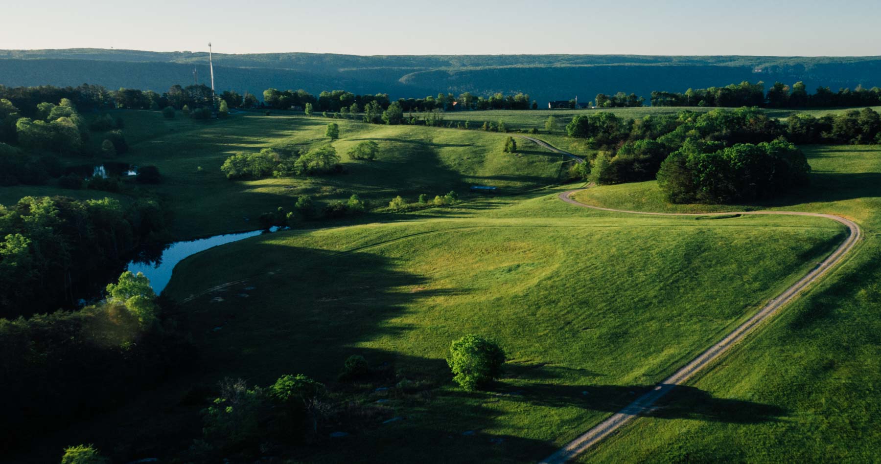 Plum Nelly Farm property picture 40 of 45