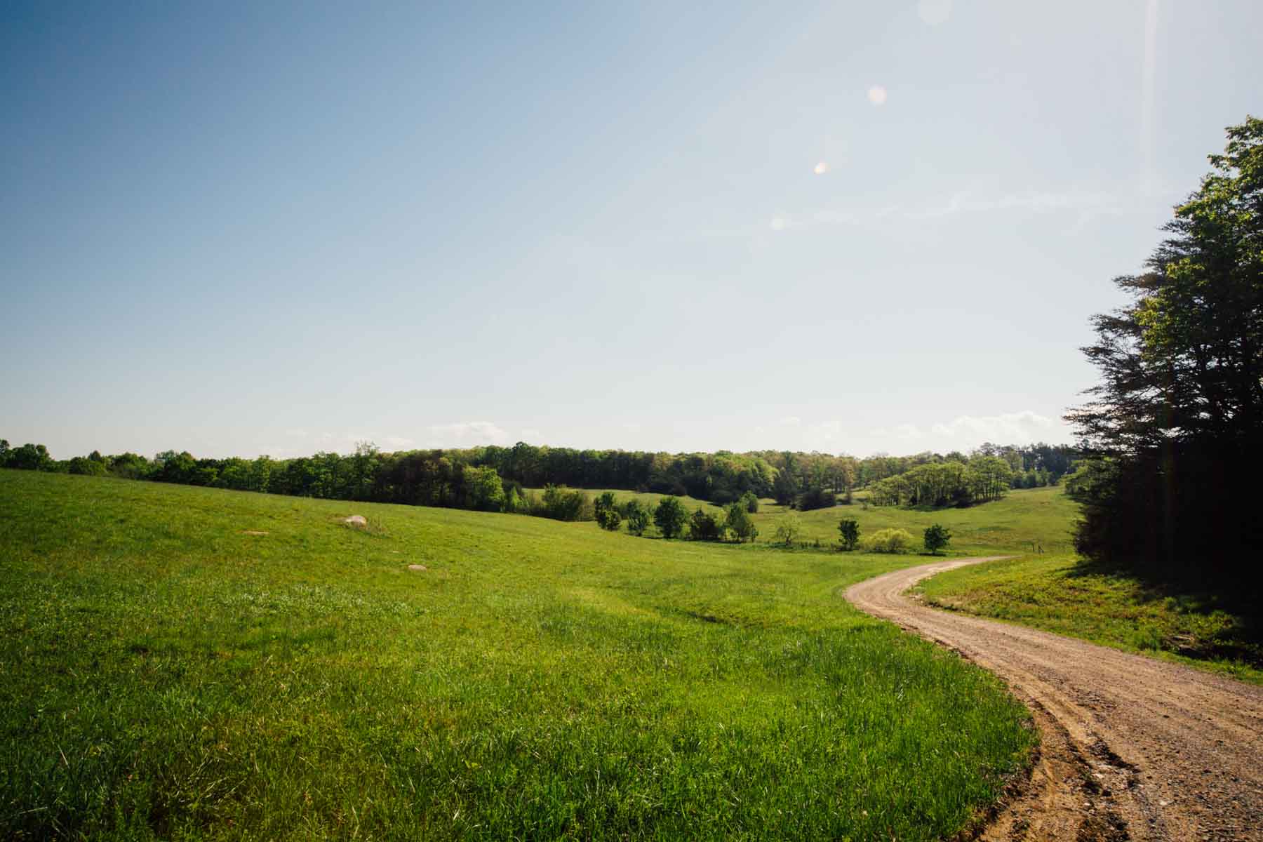 Plum Nelly Farm property picture 42 of 45