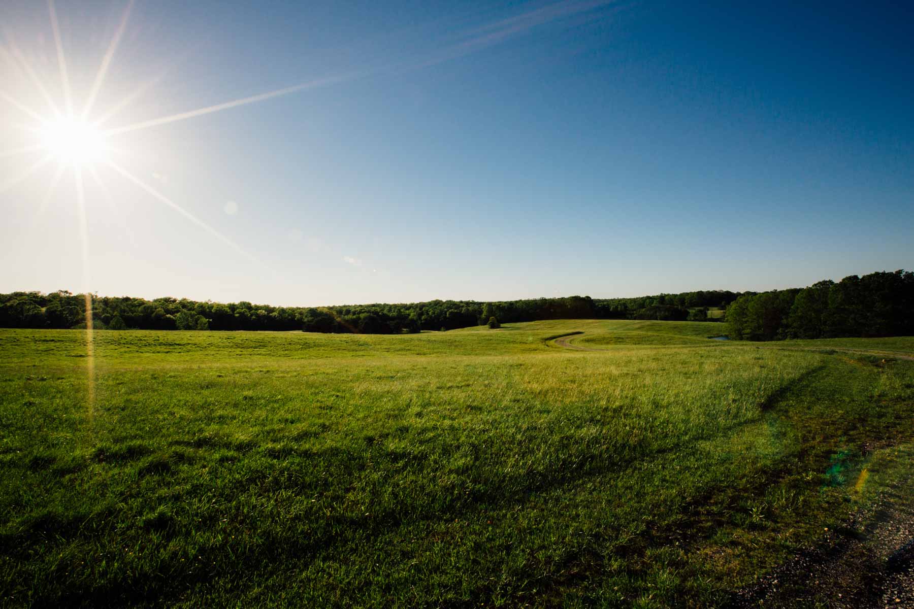 Plum Nelly Farm property picture 43 of 45