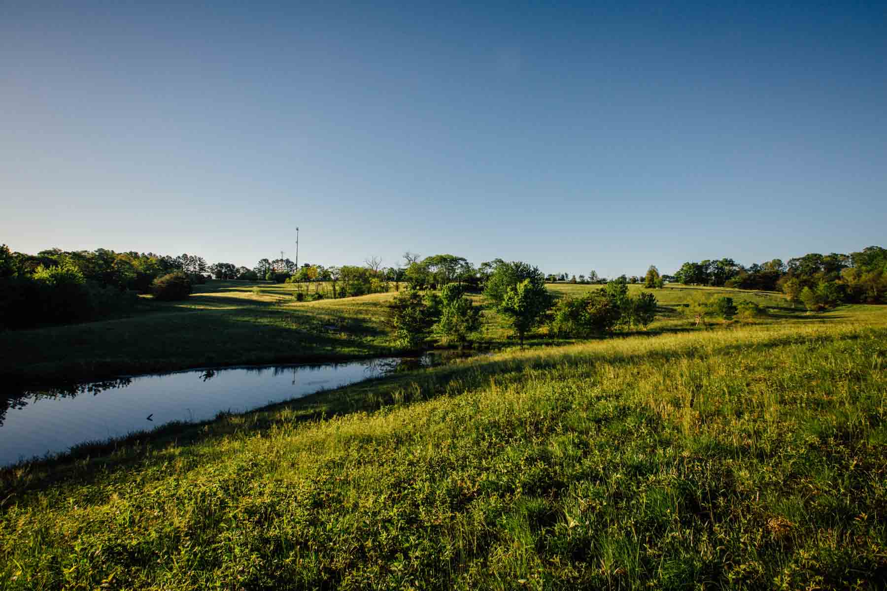 Plum Nelly Farm property picture 45 of 45
