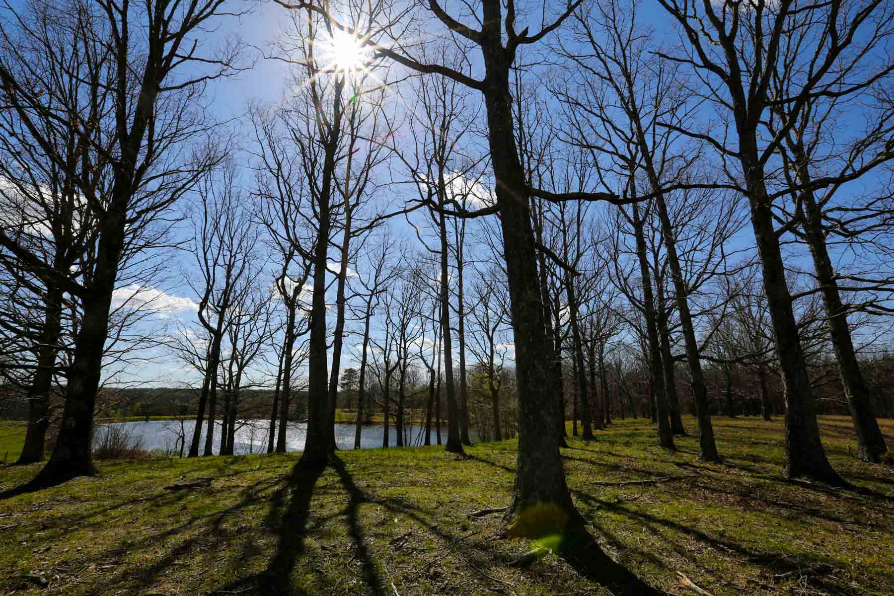 Plum Nelly Farm property picture 11 of 45